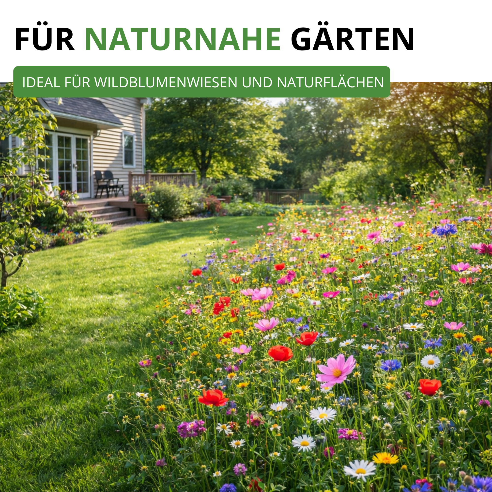 Wildblumenwiese Blumenmischung 100 g