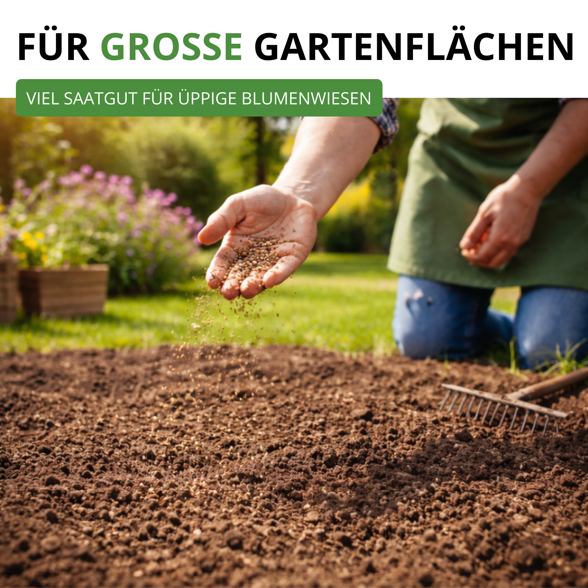 Bienenweide Blumenmischung 100 g