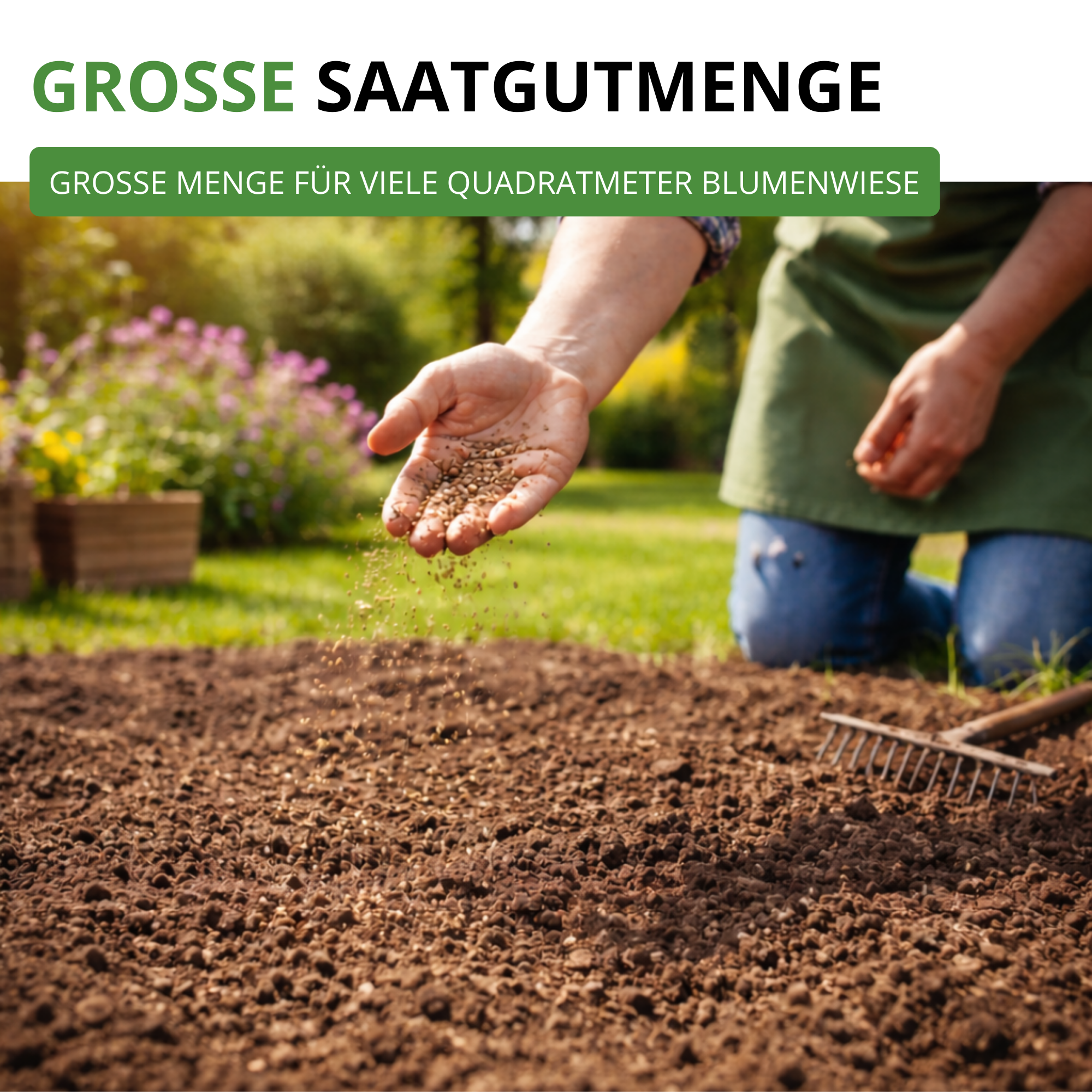 Wildblumenwiese Blumenmischung 100 g