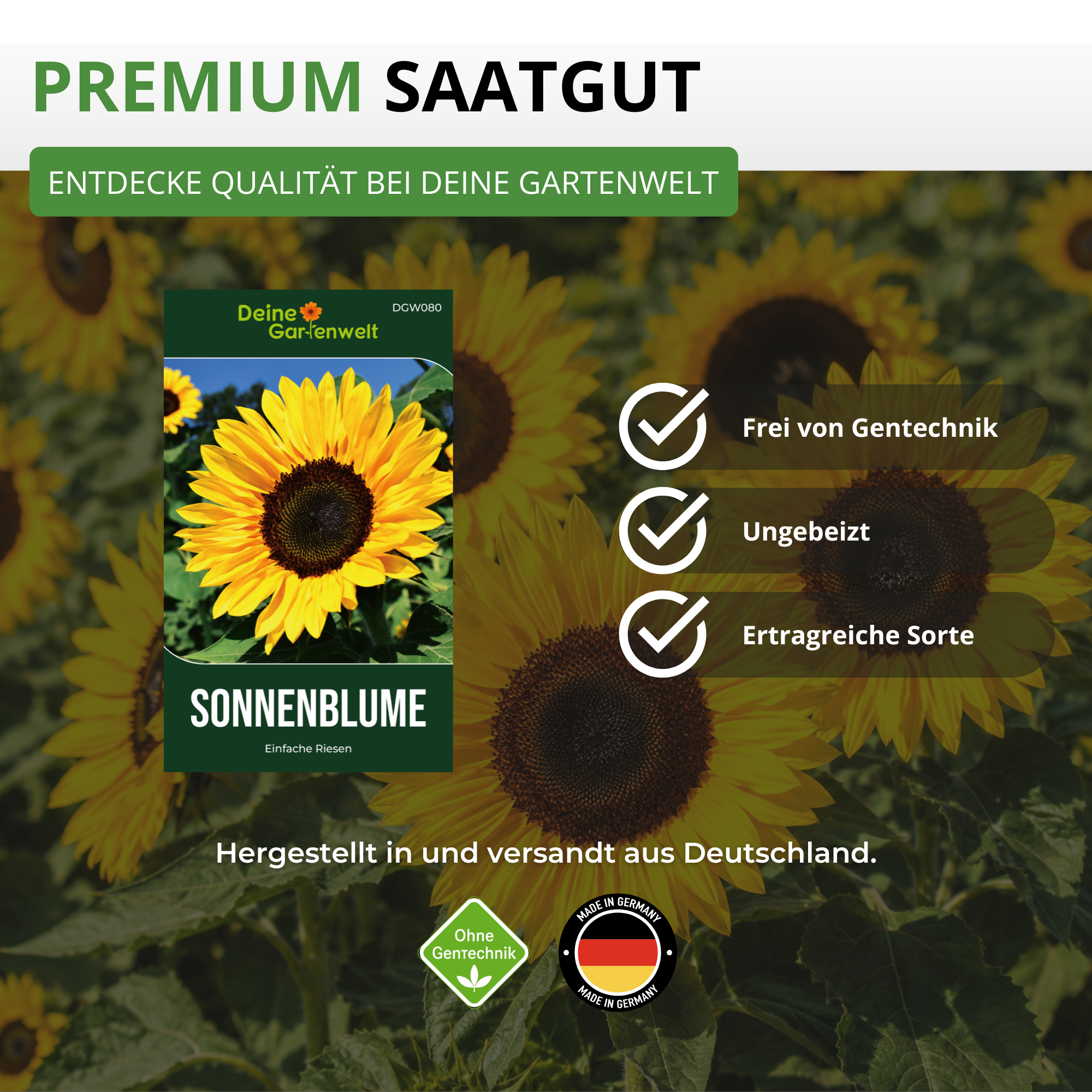 Sonnenblume Einfache Riesen Saatgut