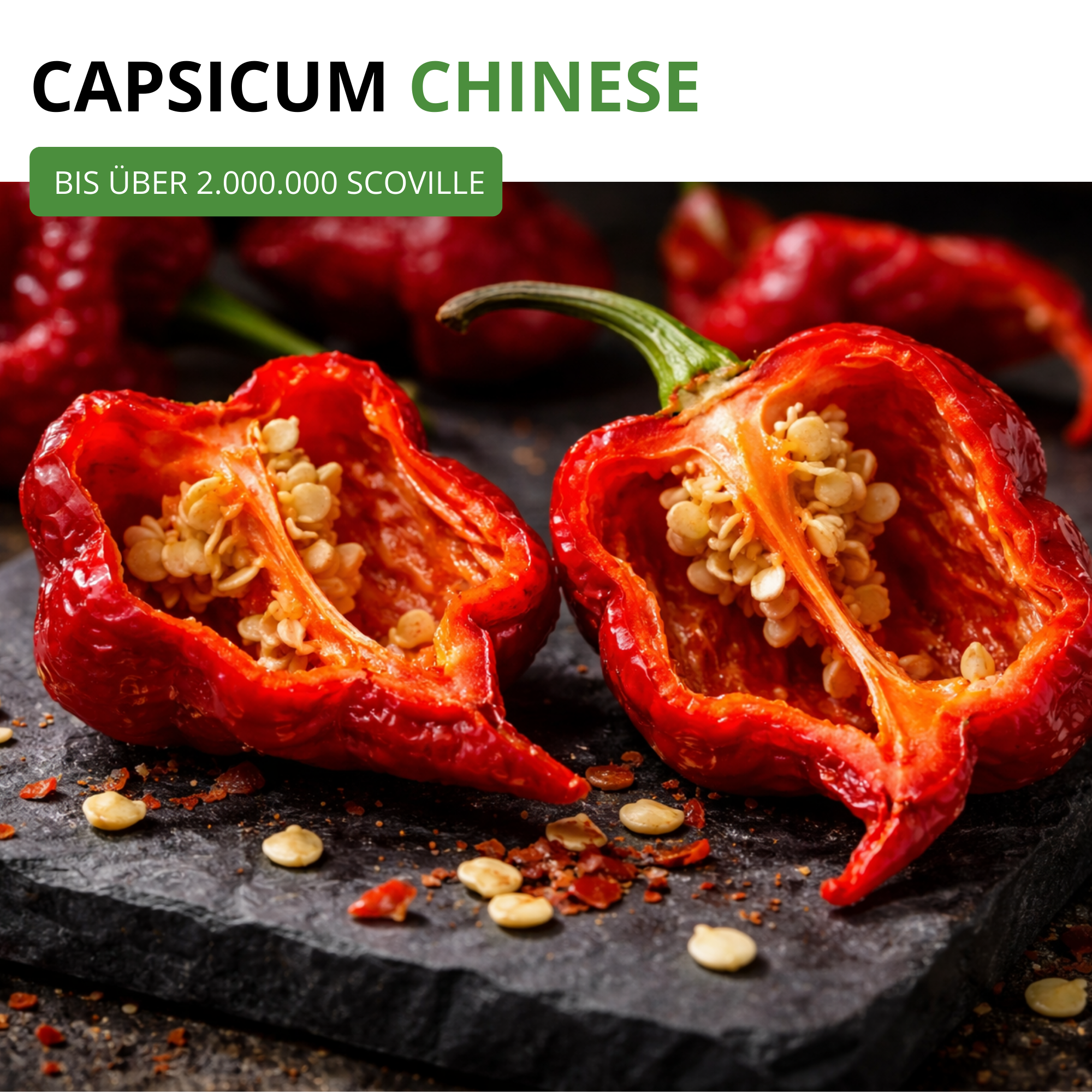 Chili Trinidad Moruga Scorpion