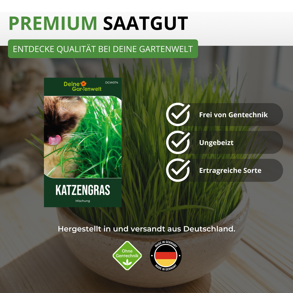 Katzengras Mischung Saatgut