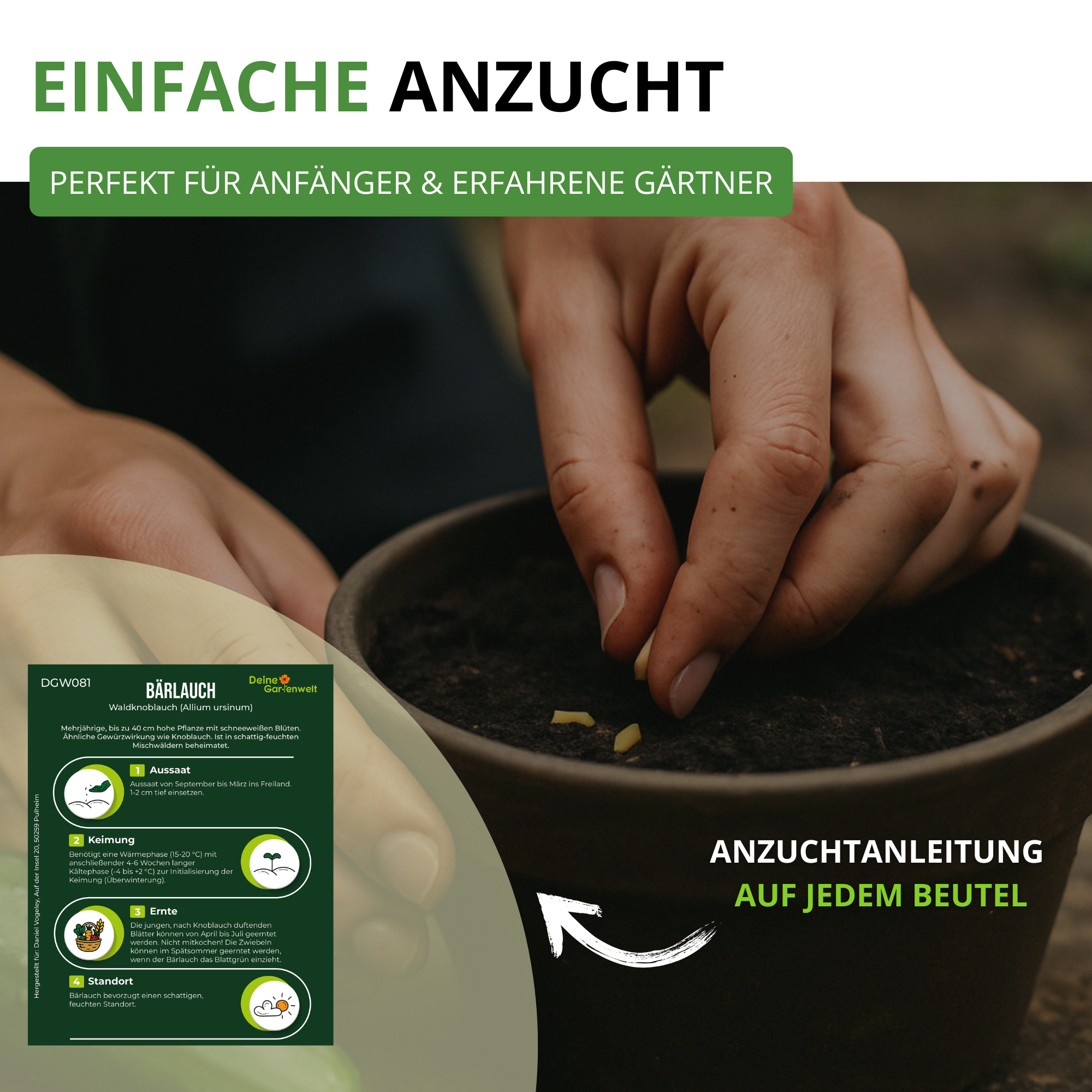 Bärlauch Saatgut