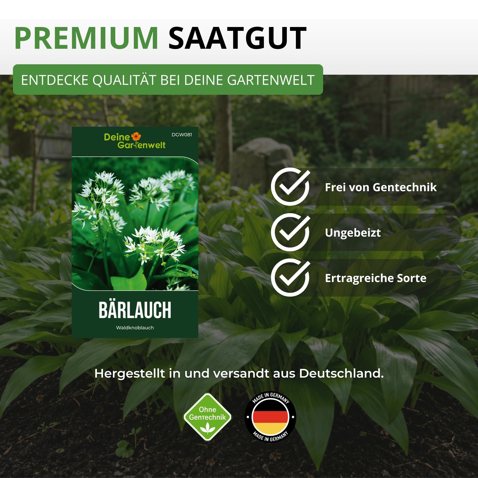 Bärlauch Saatgut