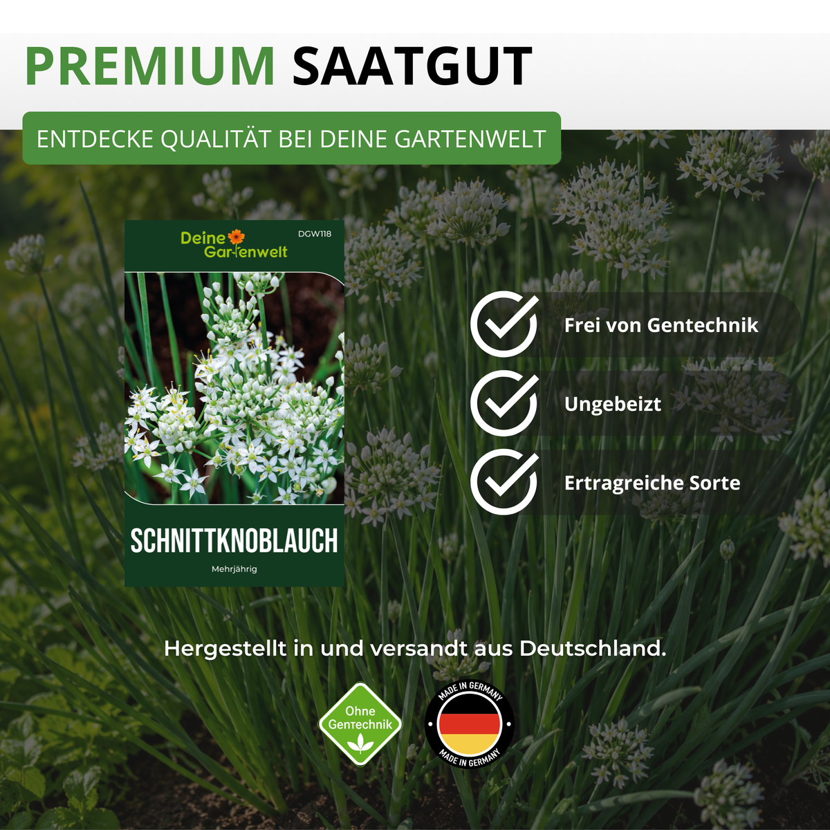 Schnittknoblauch Saatgut