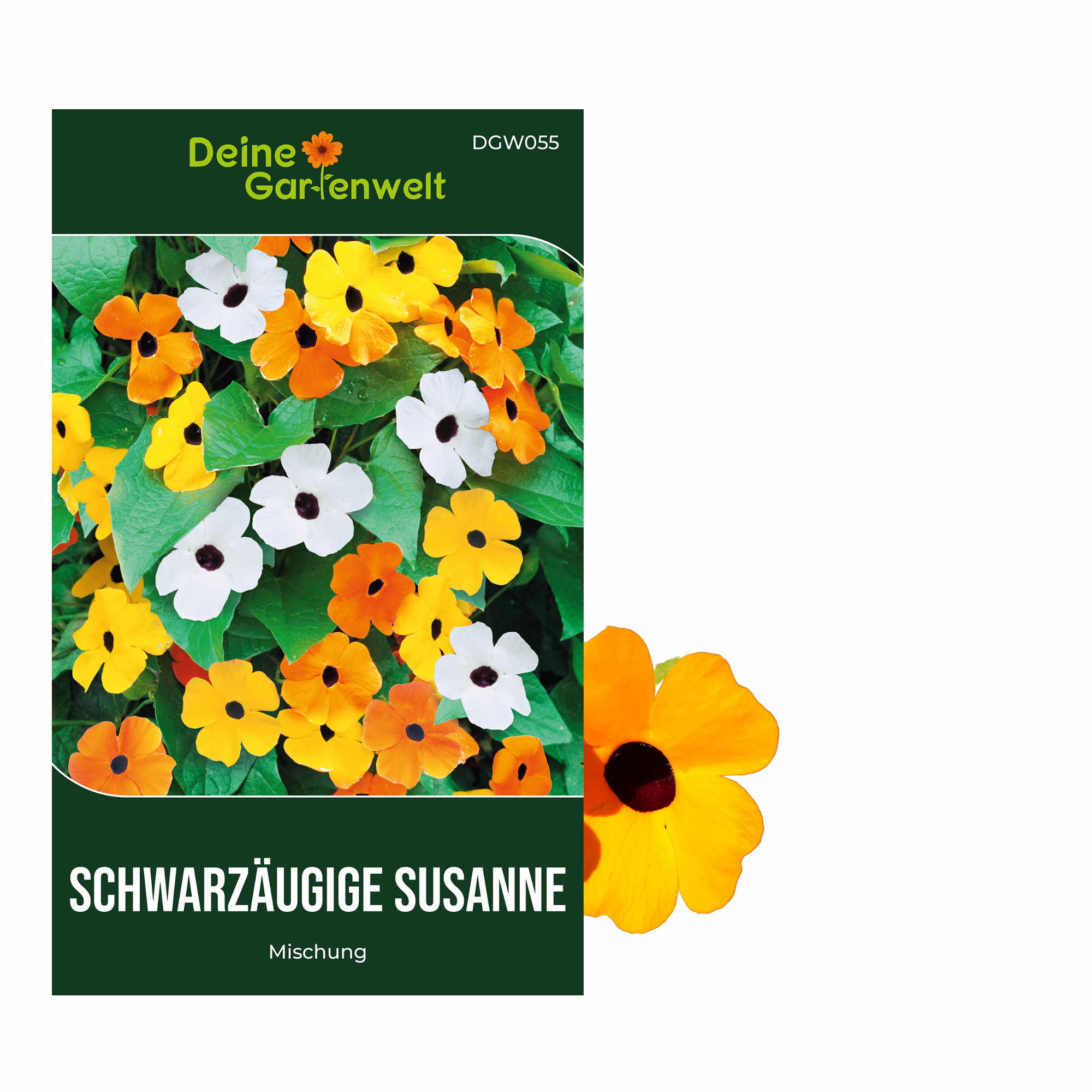 Schwarzäugige Susanne Mischung