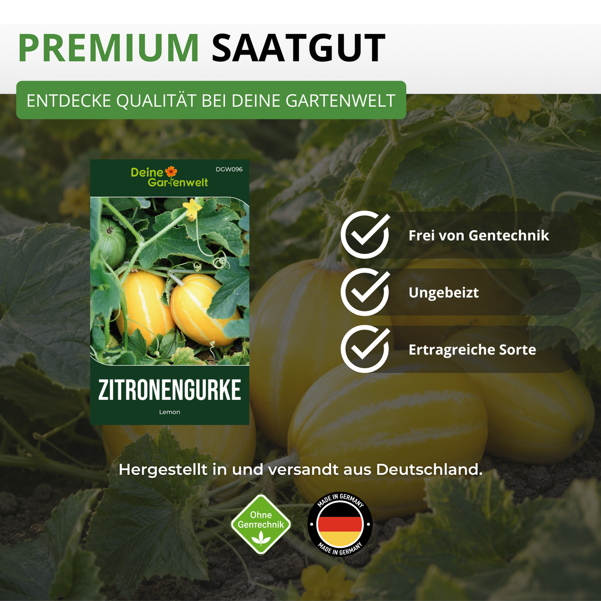 Zitronengurke Lemon Saatgut