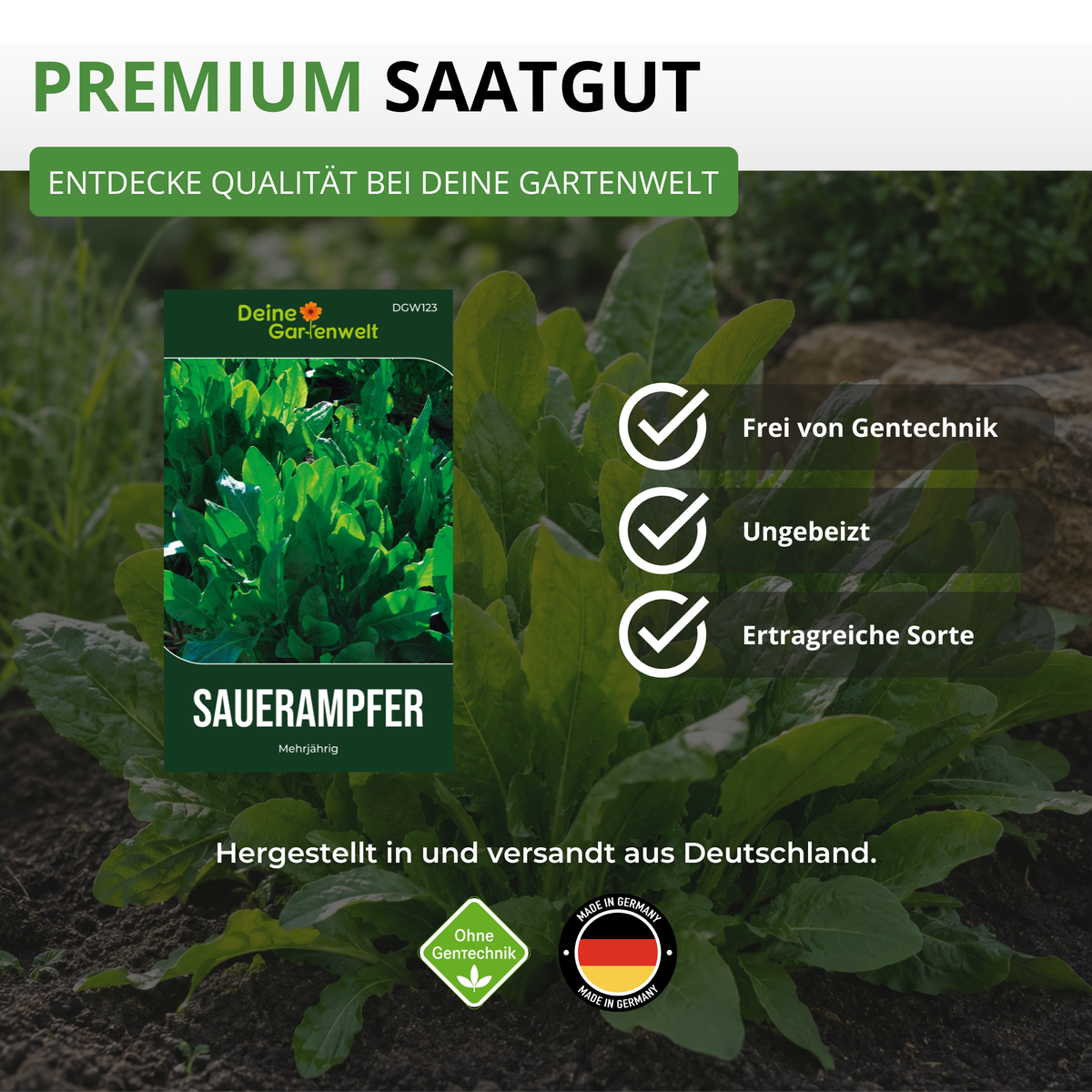 Sauerampfer De Belleville Saatgut