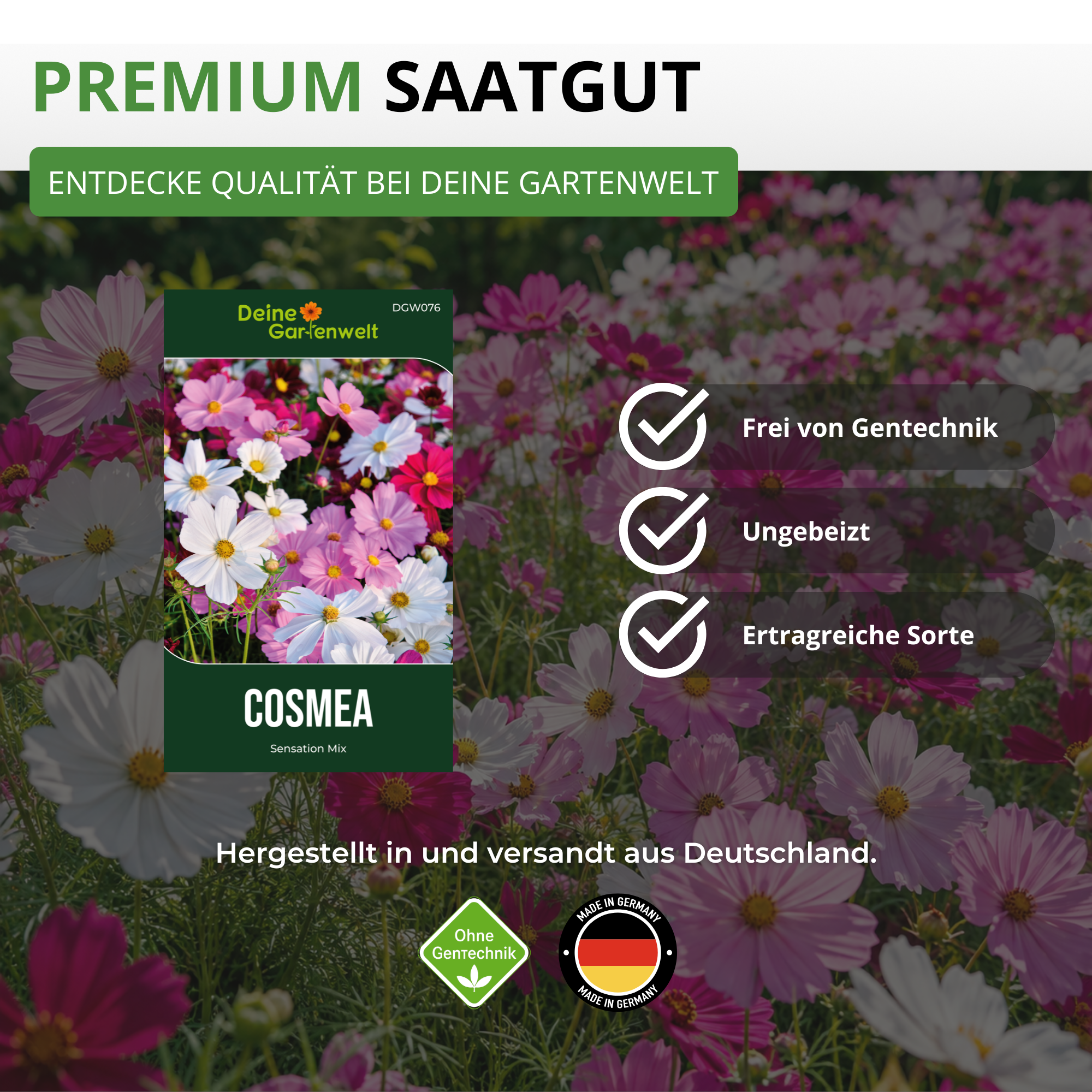 Cosmea Schmuckkörbchen Sensation Mix Saatgut