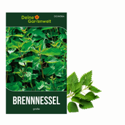 Brennnessel große