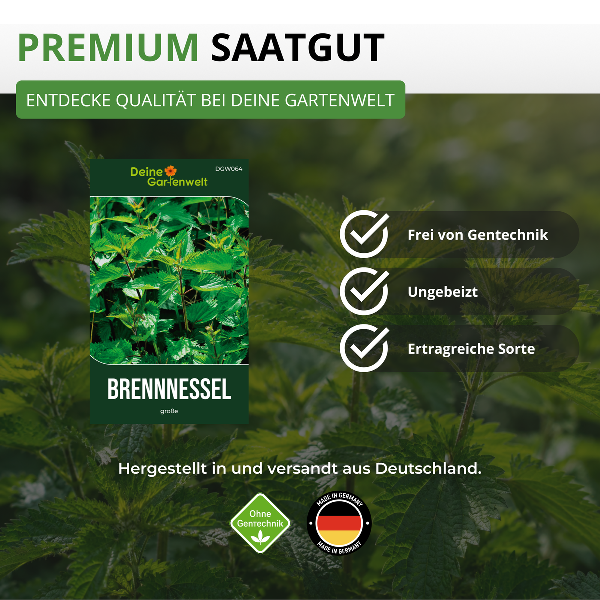 Brennnessel große Saatgut