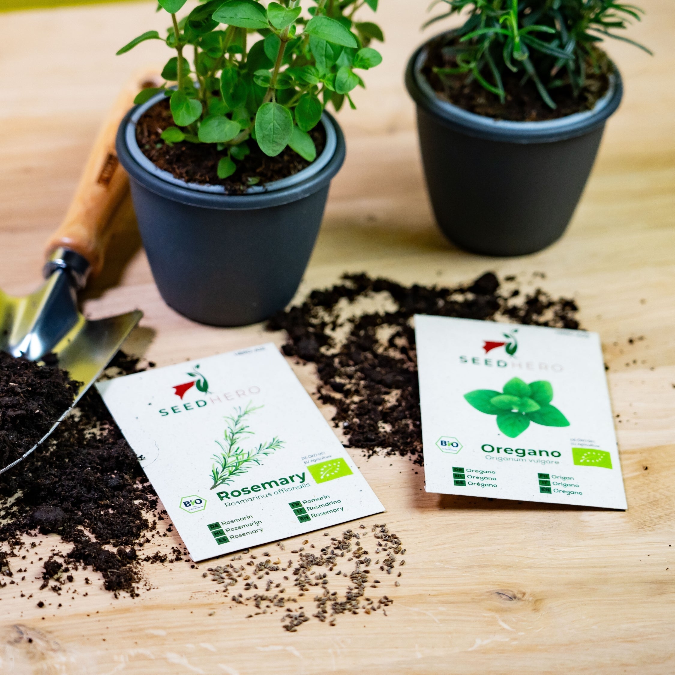 BIO Kräutersamen-Set mit 12 Sorten