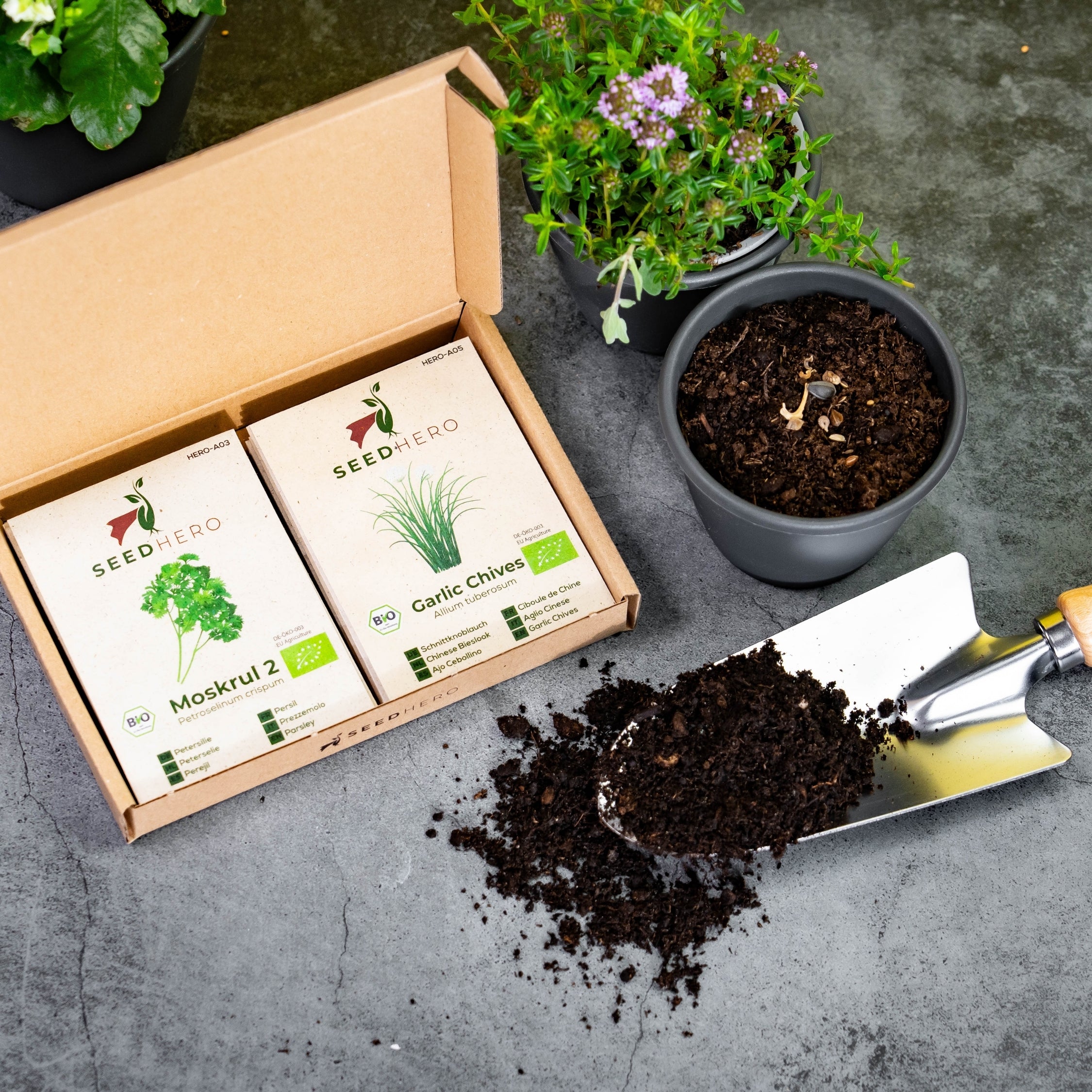 BIO Kräutersamen-Set mit 12 Sorten