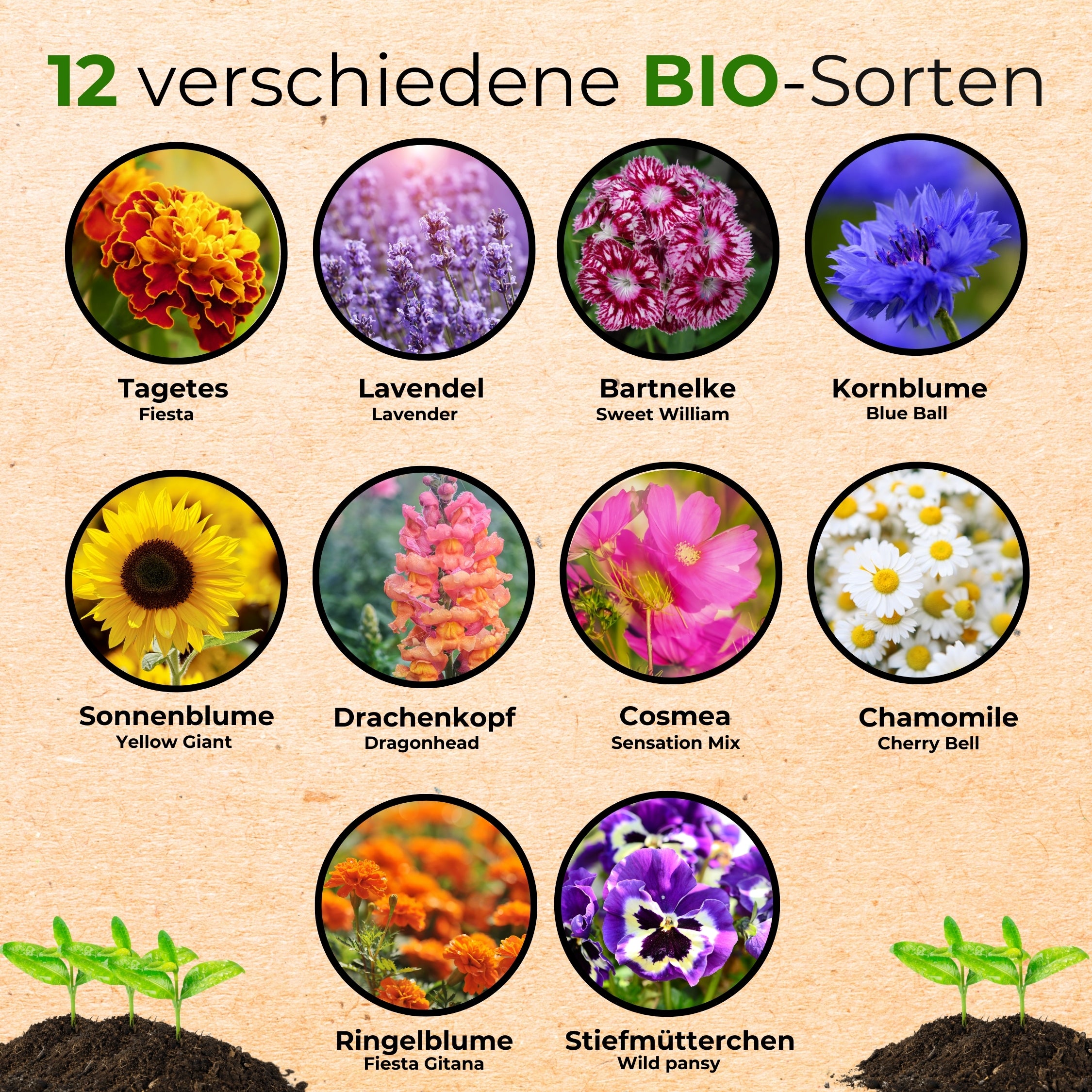 BIO Essbare Blüten Blumensamen-Set mit 10 Sorten