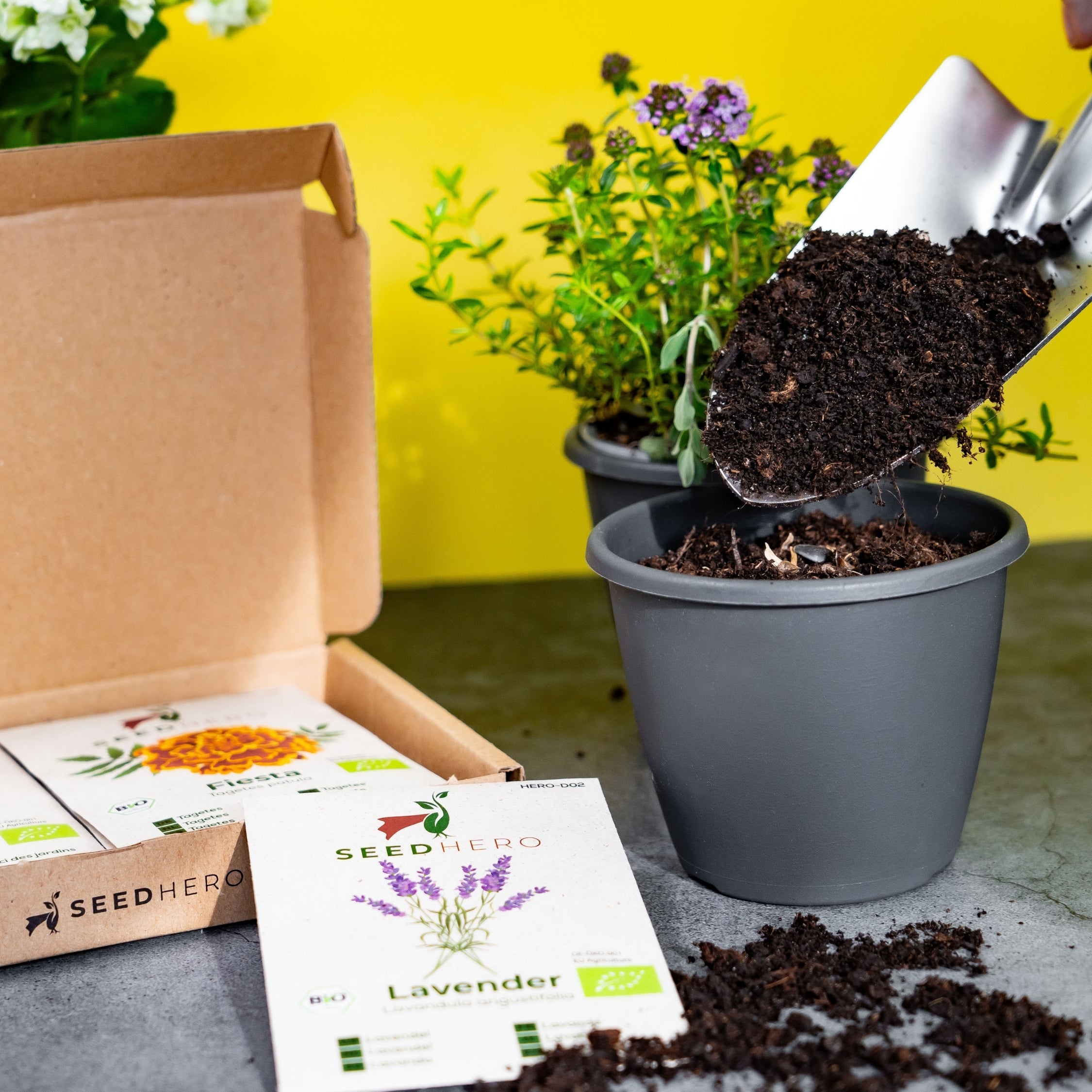 BIO Essbare Blüten Blumensamen-Set mit 10 Sorten