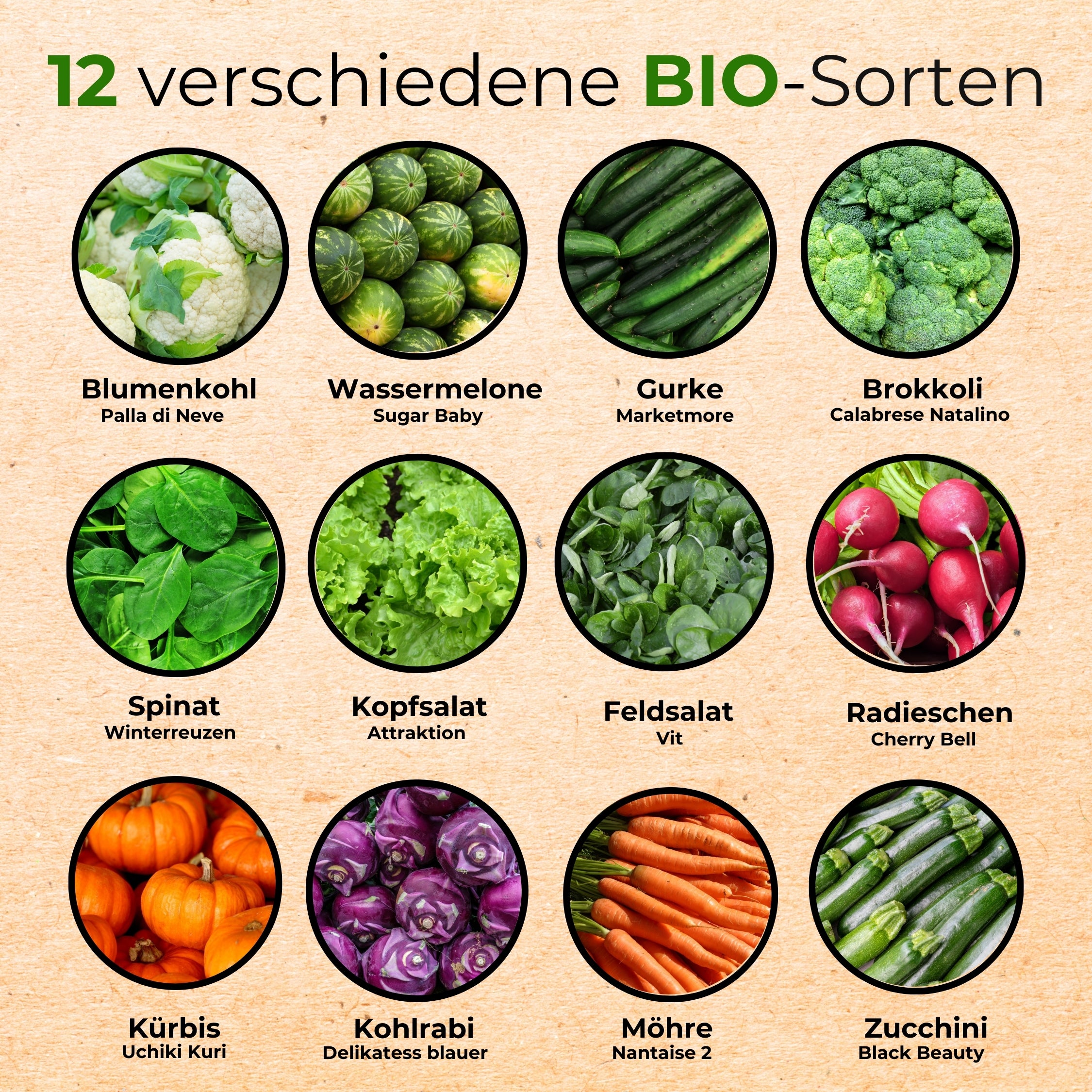 BIO Gemüsesamen-Set mit 12 Sorten
