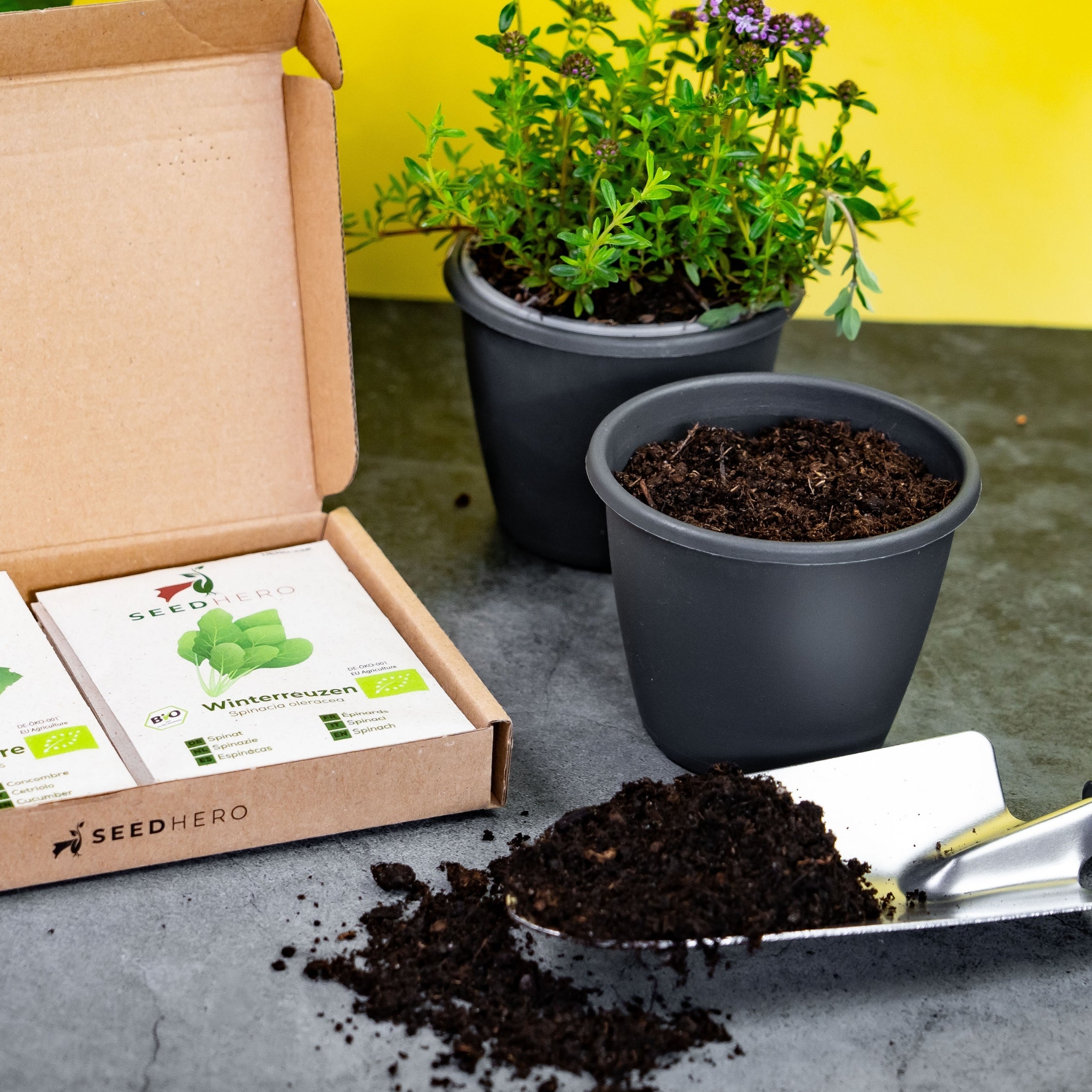 BIO Gemüsesamen-Set mit 12 Sorten