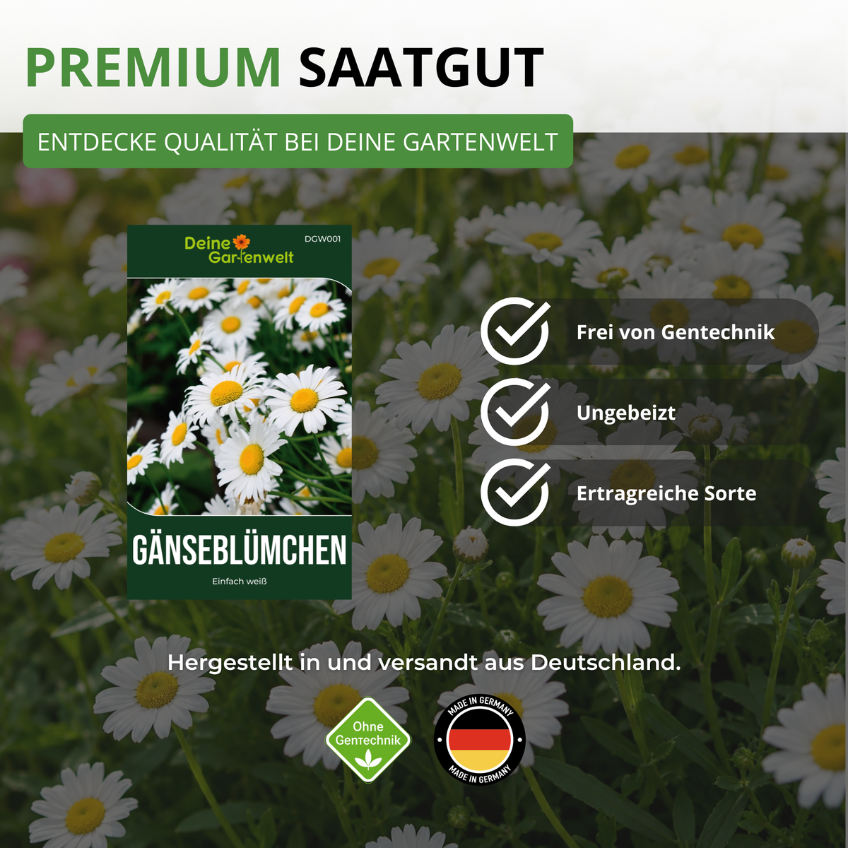 Gänseblümchen Einfach weiß Saatgut