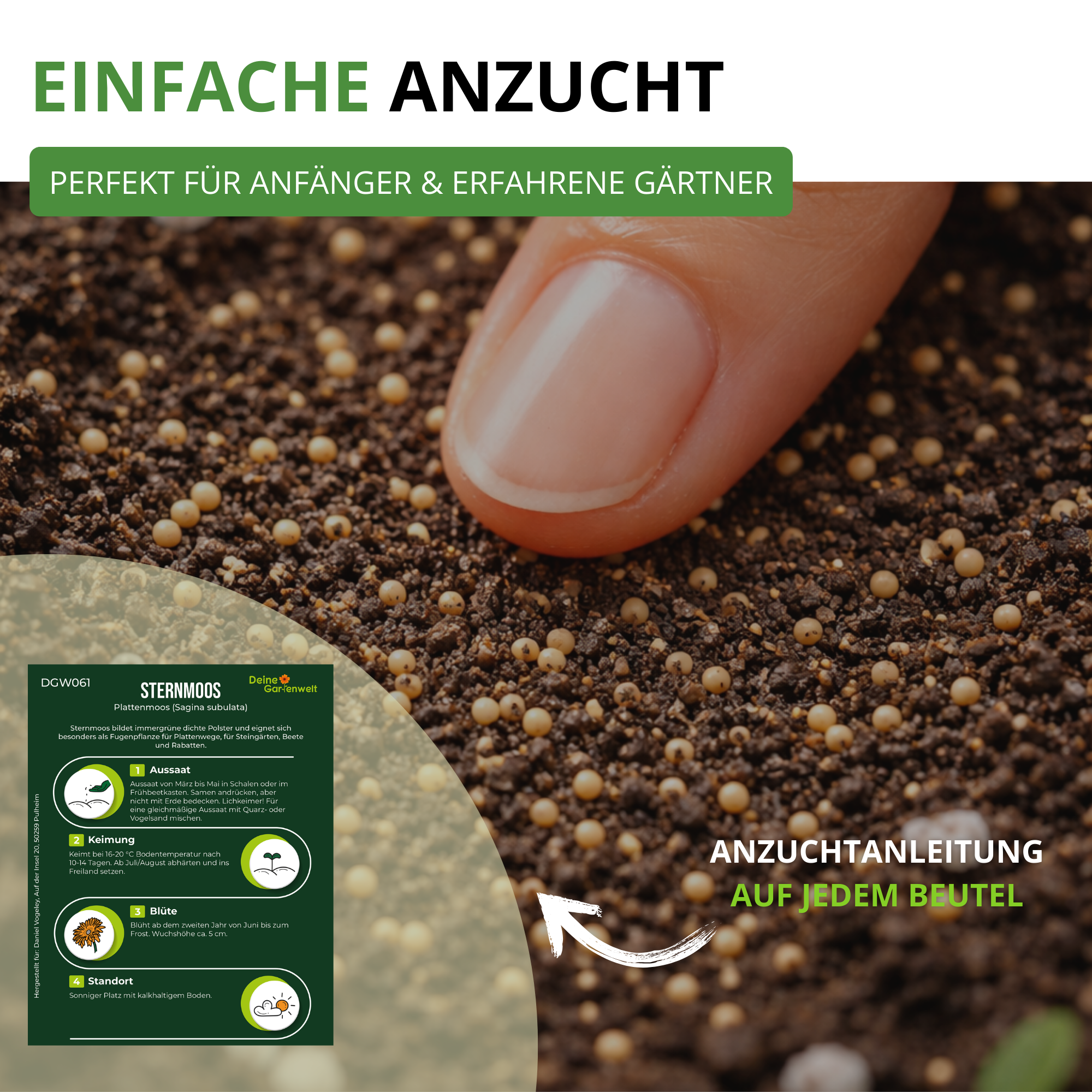 Mastkraut - Plattenmoos