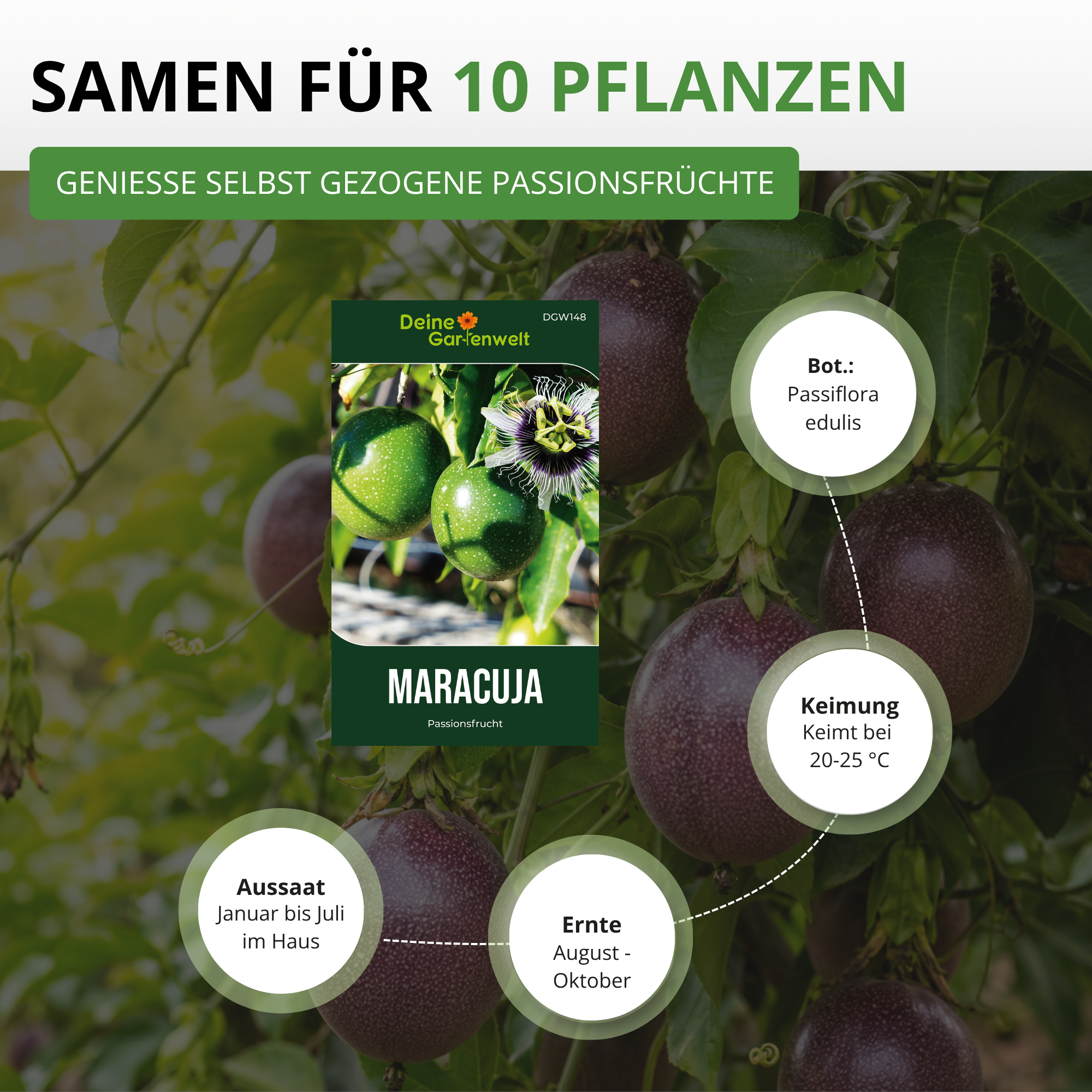 Passionsfrucht Maracuja Saatgut