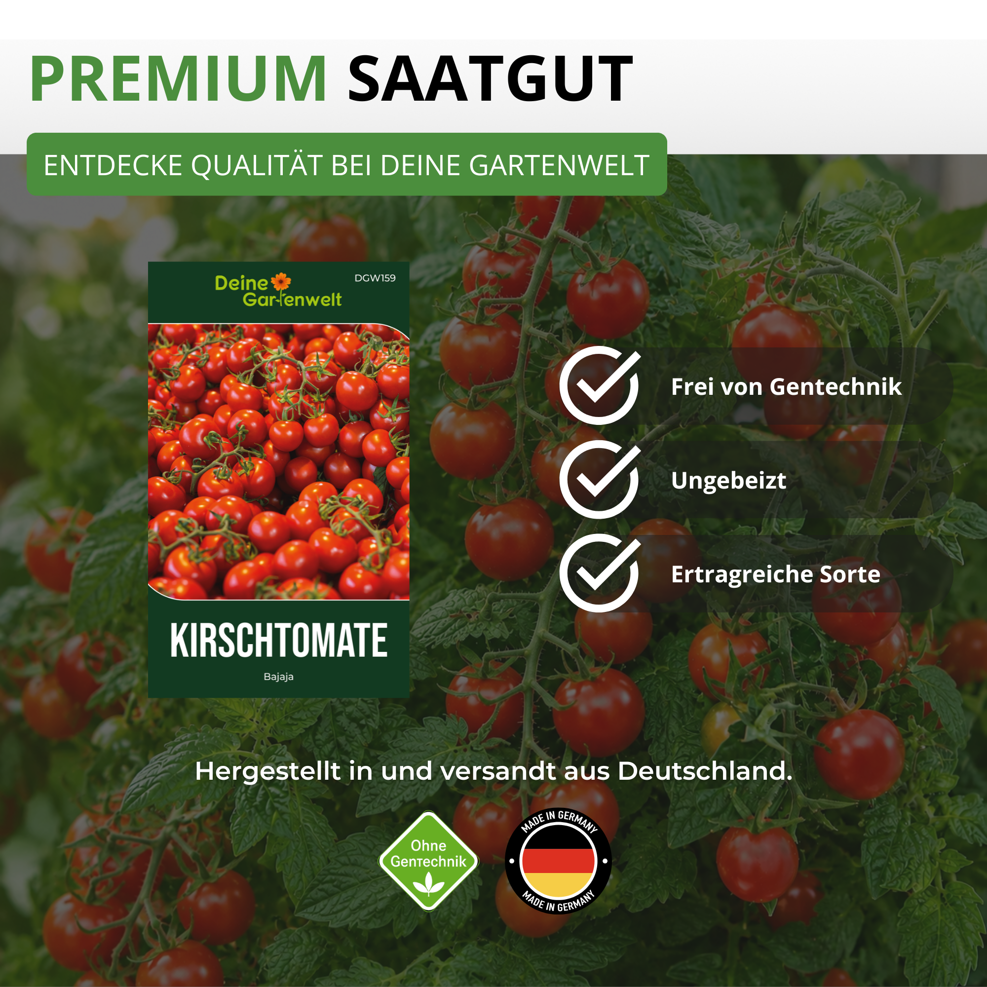 Kirschtomate Bajaja Saatgut