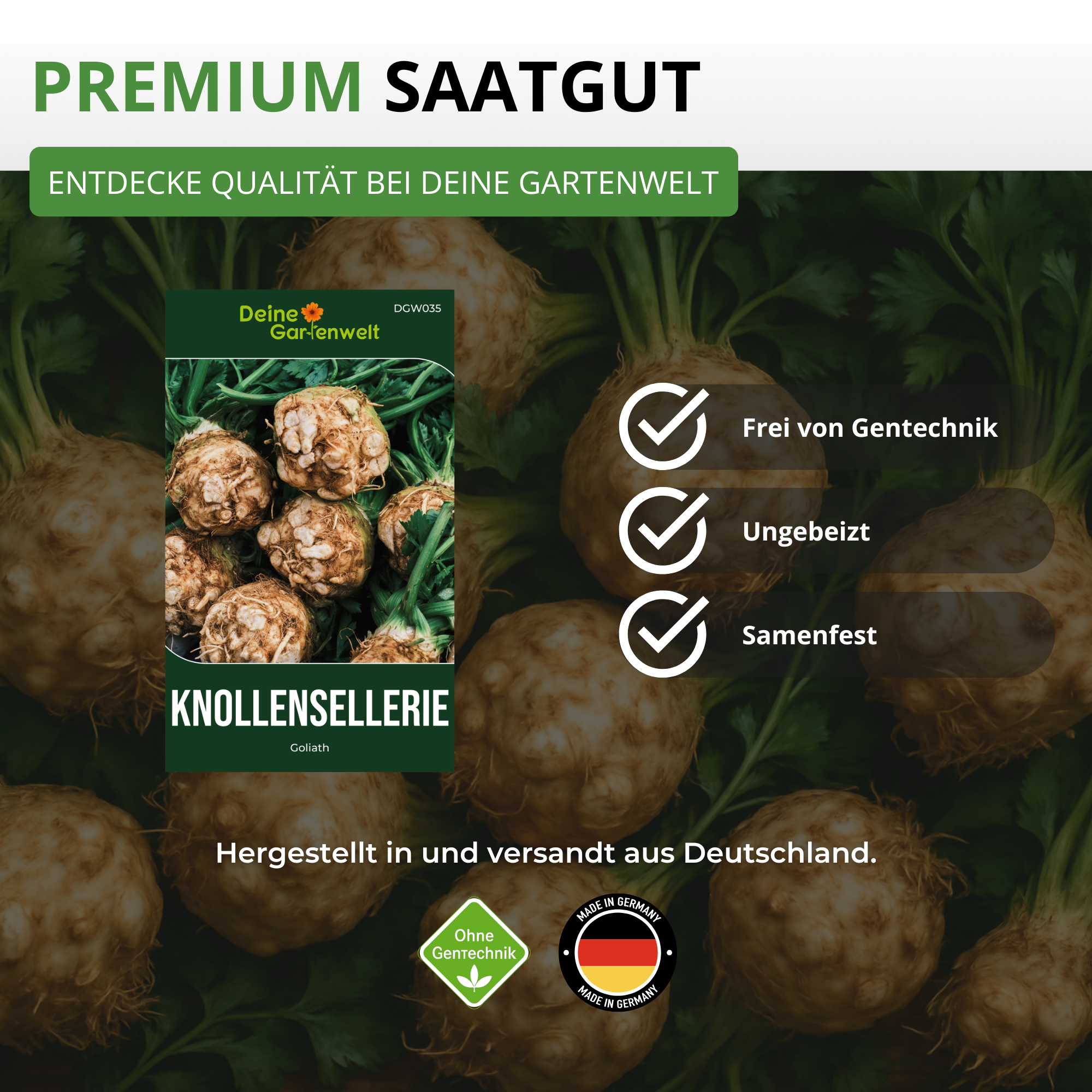 Knollensellerie Goliath