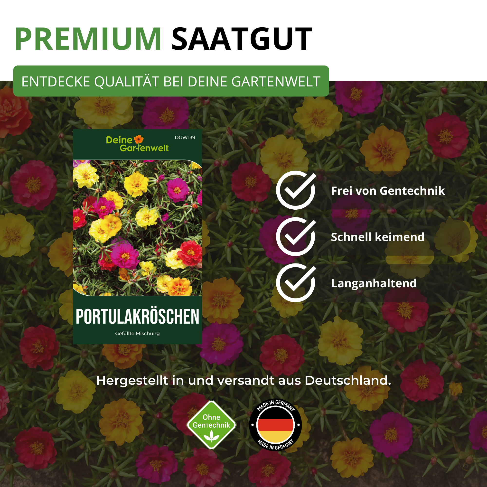 Portulakröschen Gefüllte Mischung