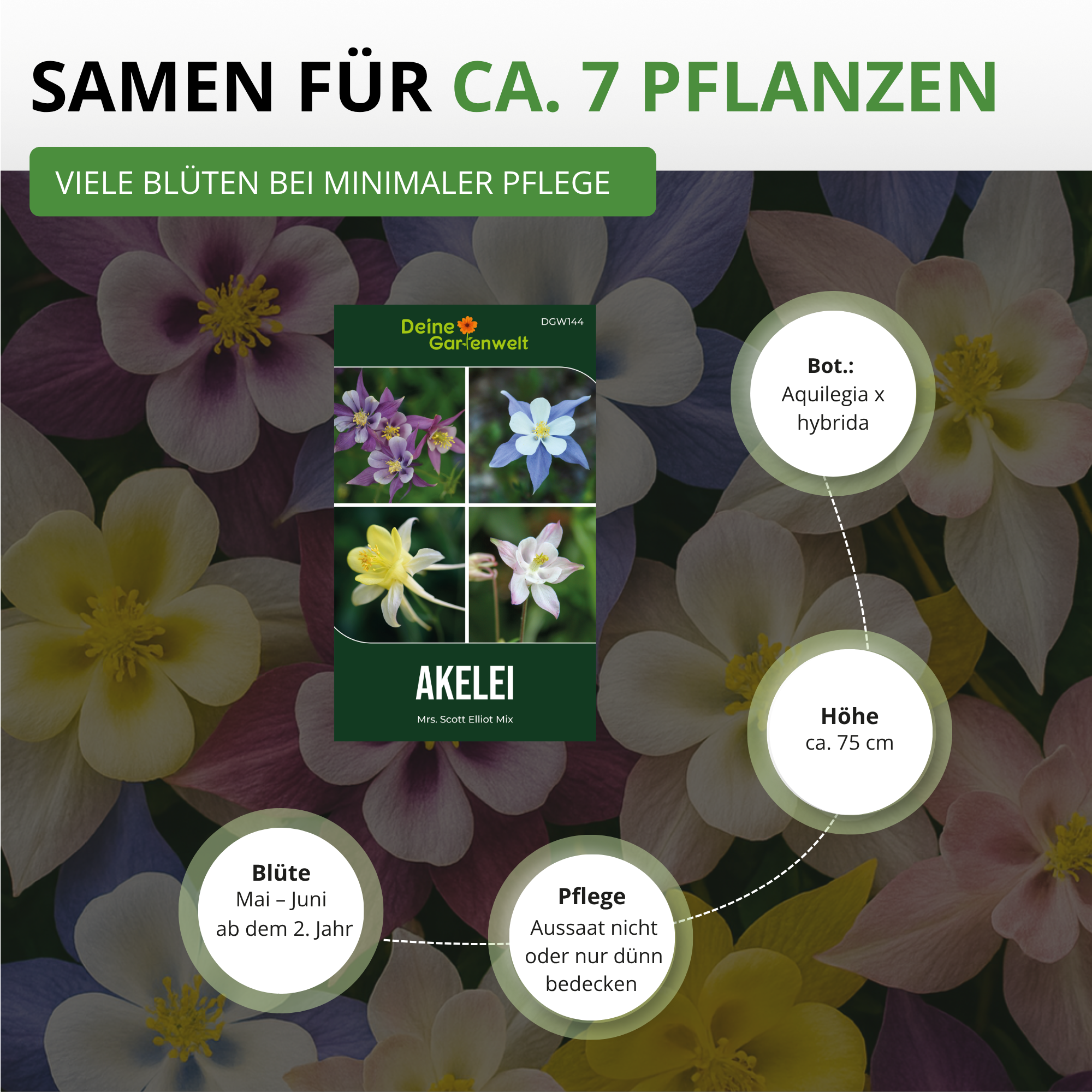 Akelei Mrs. Scott Elliot Mix