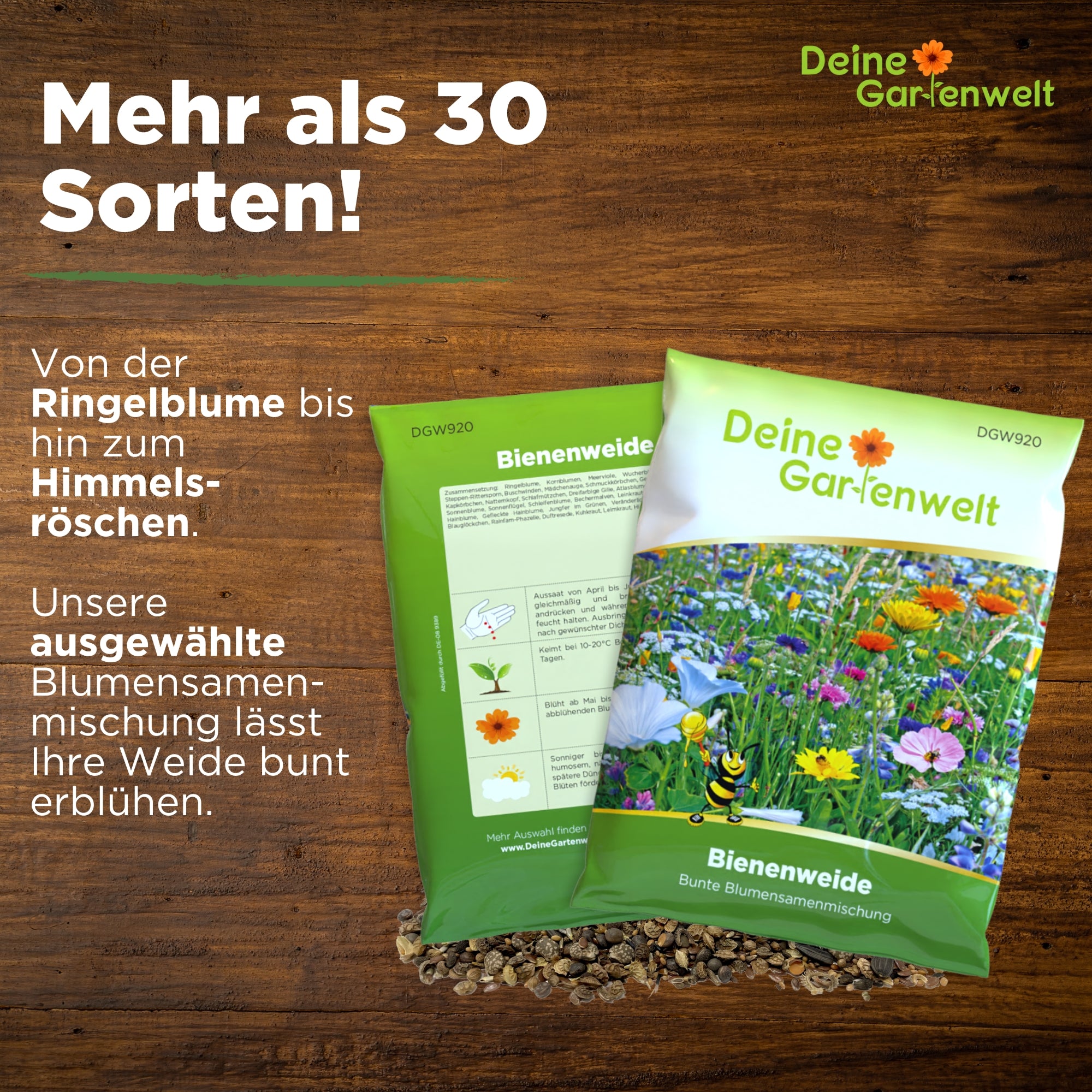 Bienenweide Blumenmischung 100 g