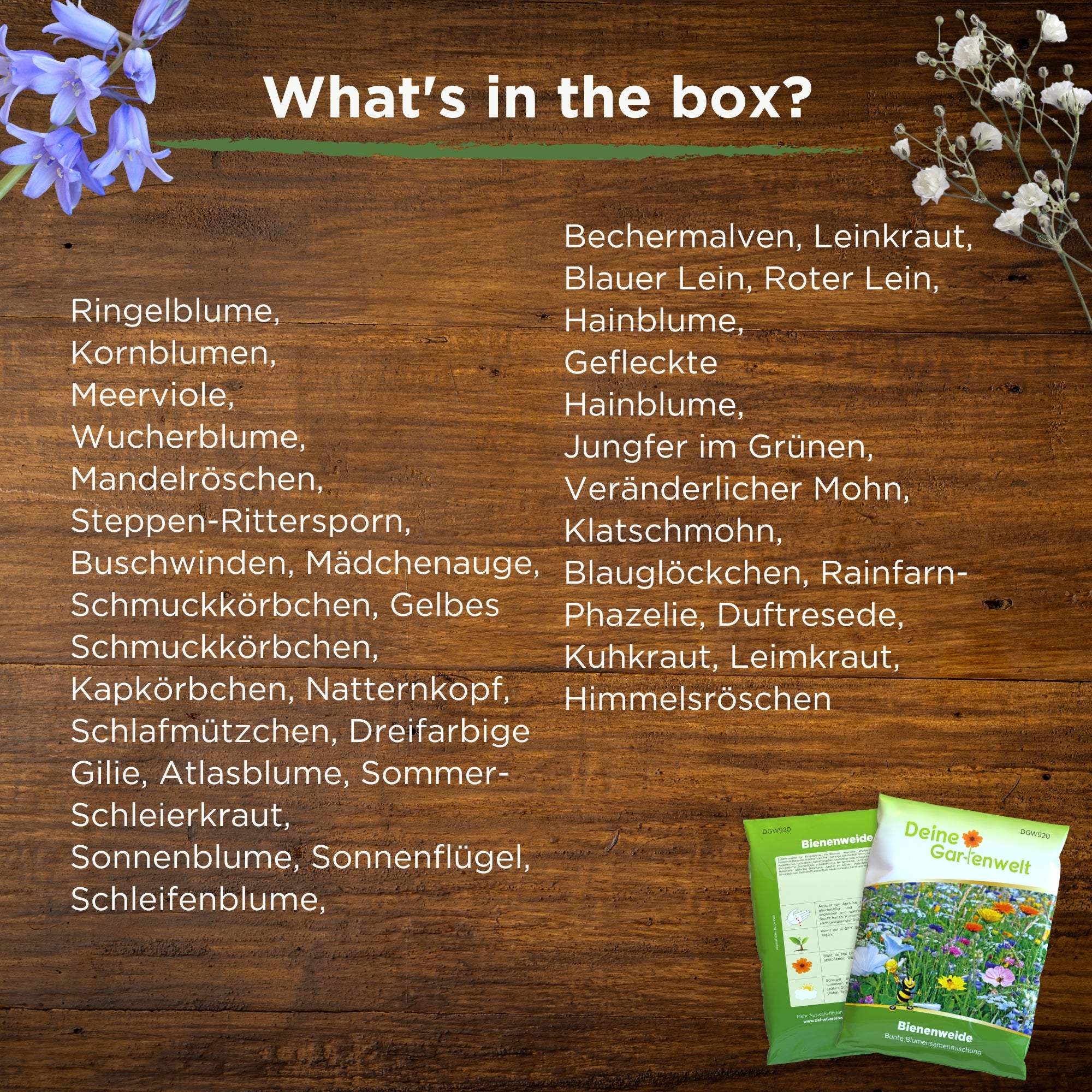 Bienenweide Blumenmischung 100 g