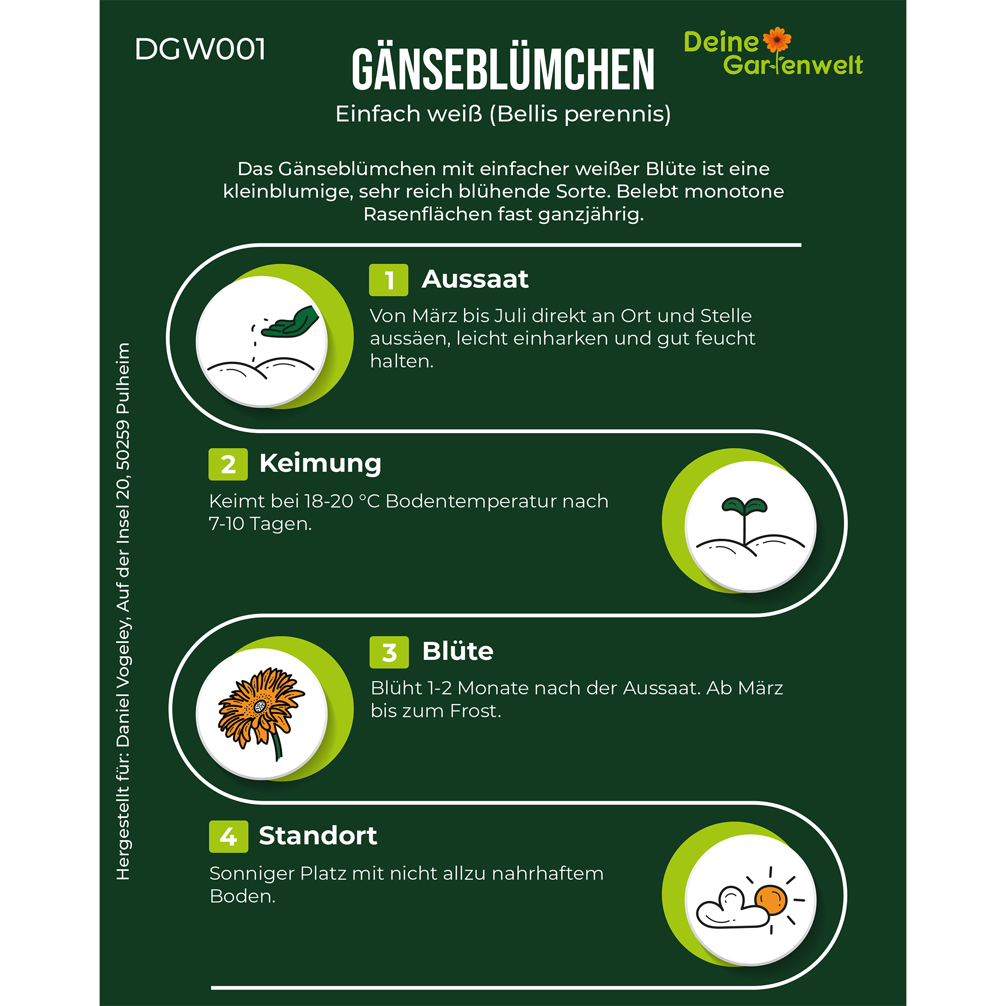 Gänseblümchen Einfach weiß