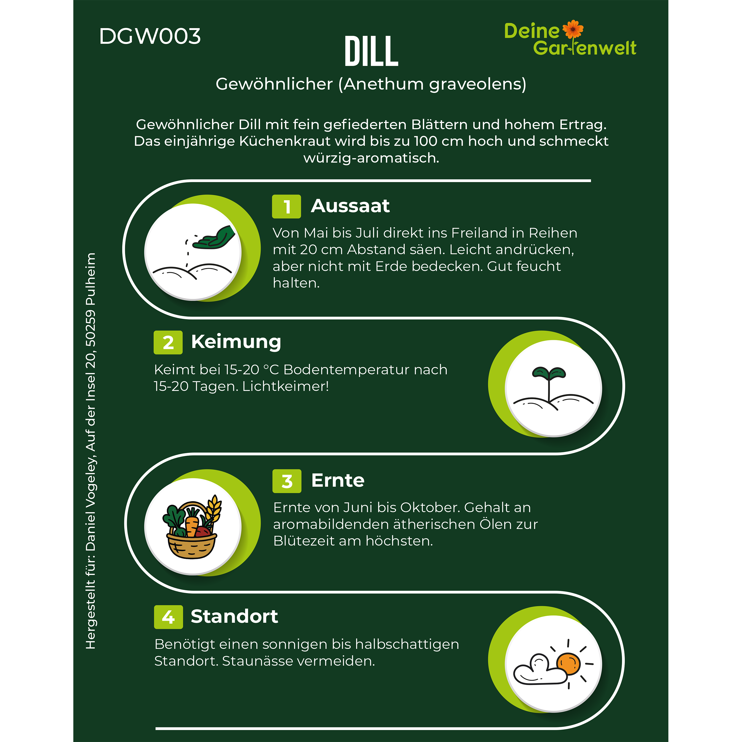 Dill Gewöhnlicher