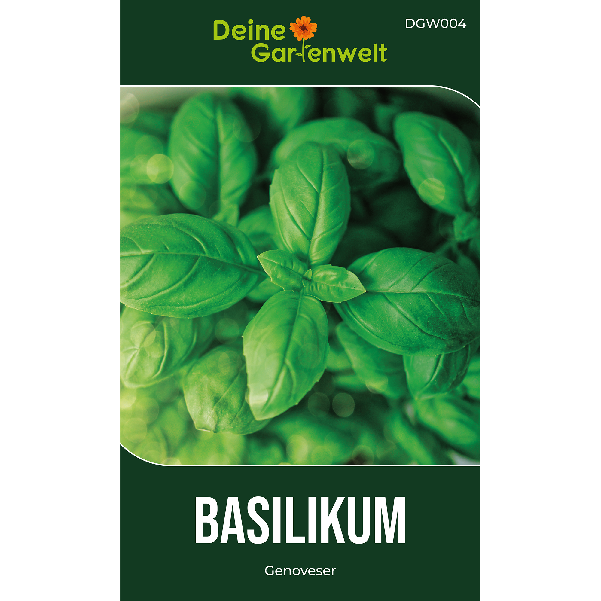 Basilikum Genoveser