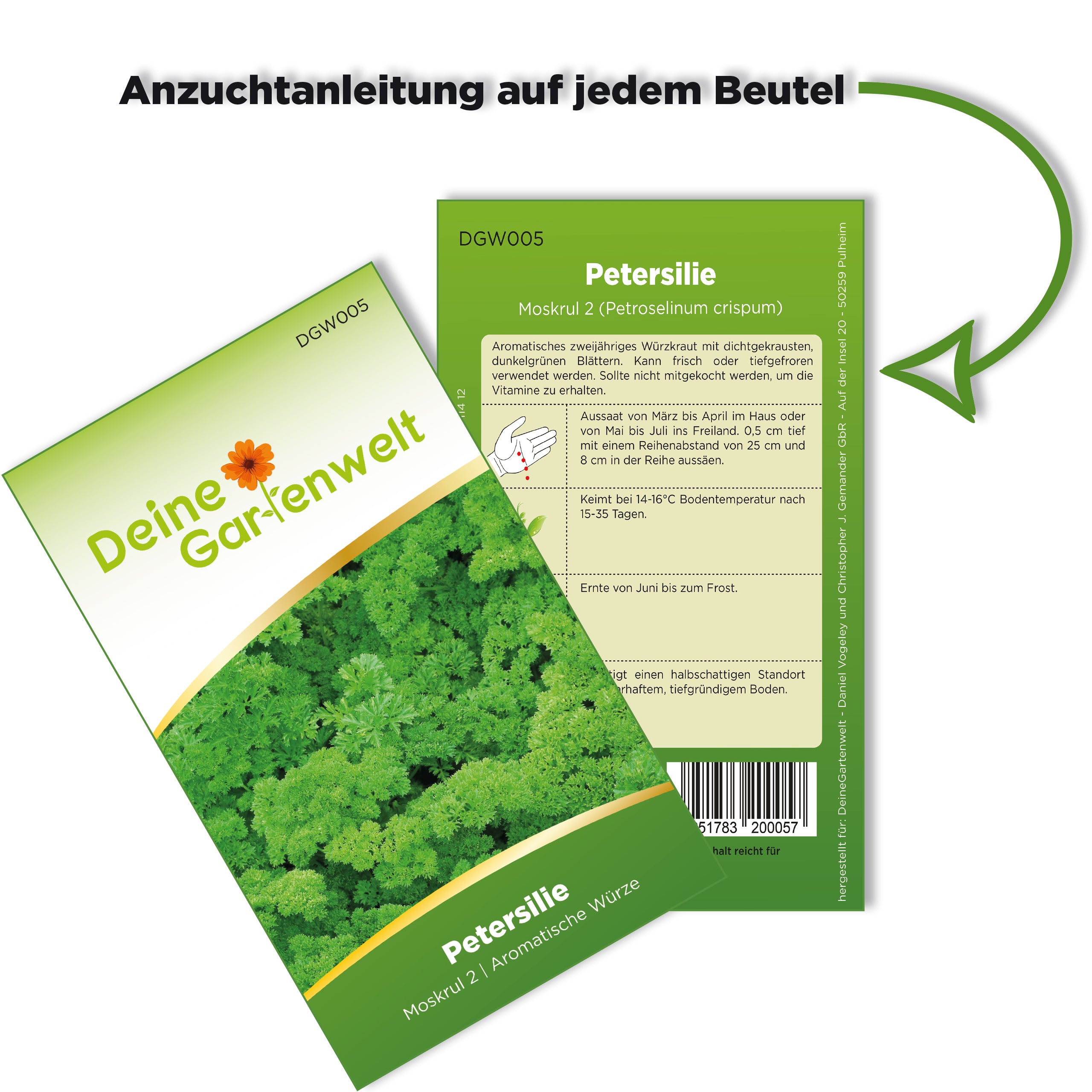 Petersilie Mooskrause 2