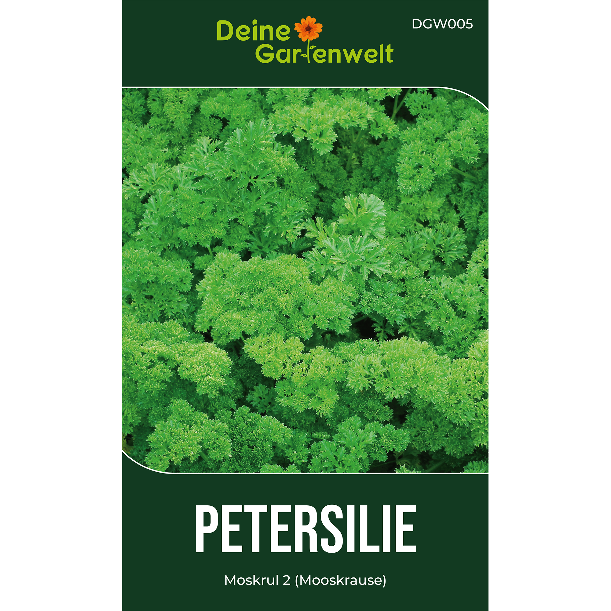 Petersilie Mooskrause 2