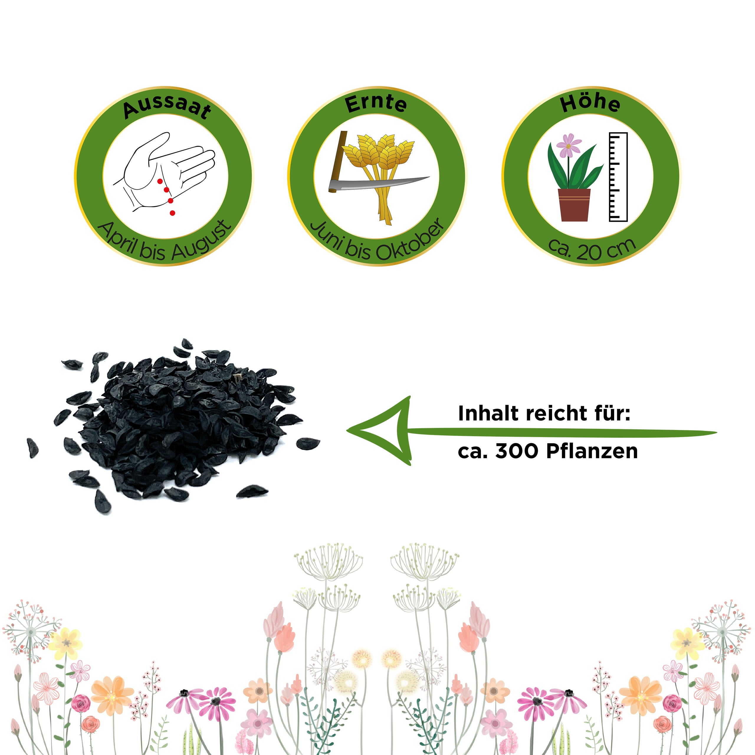 Schnittlauch Medium Leaf