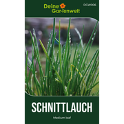 Schnittlauch Medium Leaf