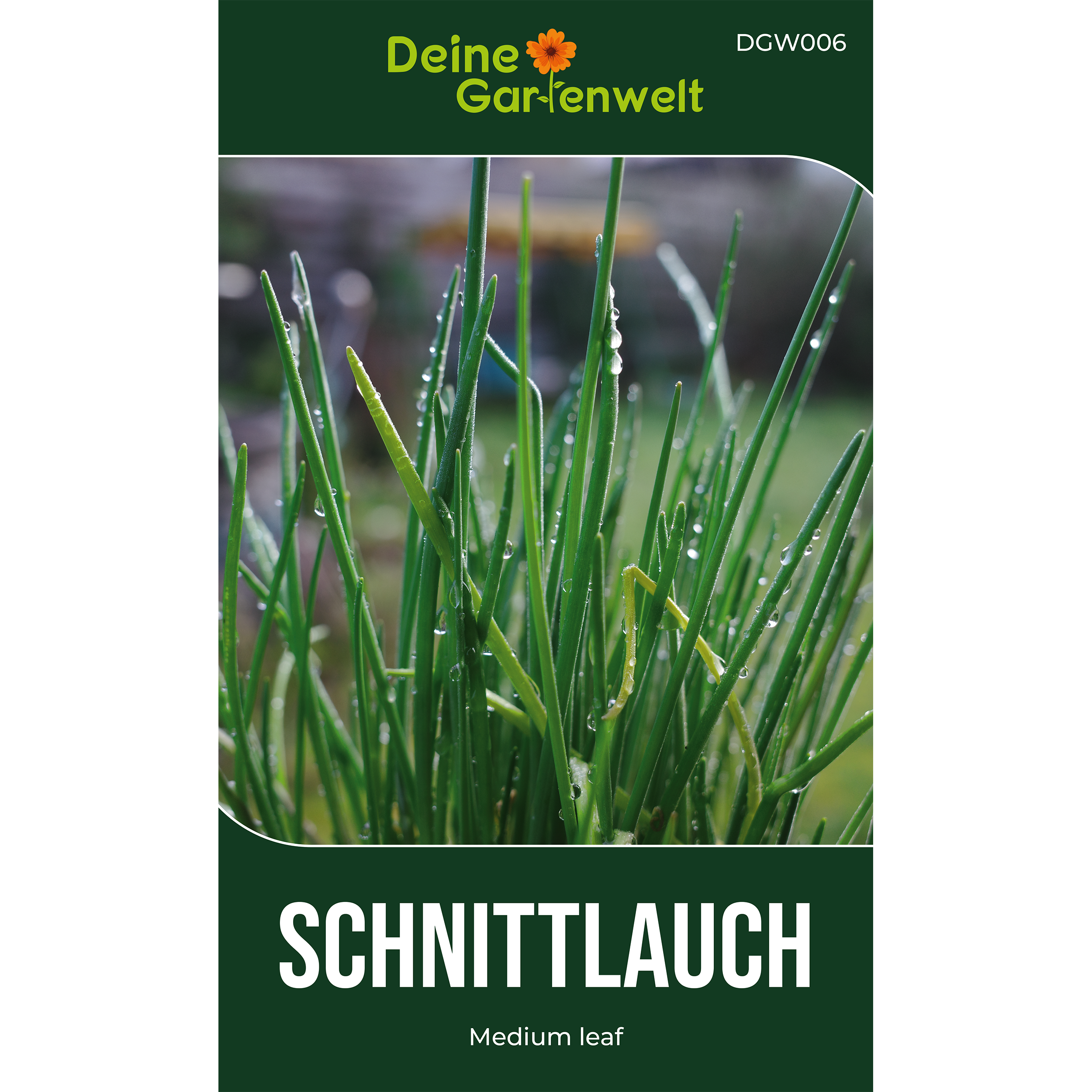 Schnittlauch Medium Leaf
