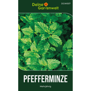 Pfefferminze