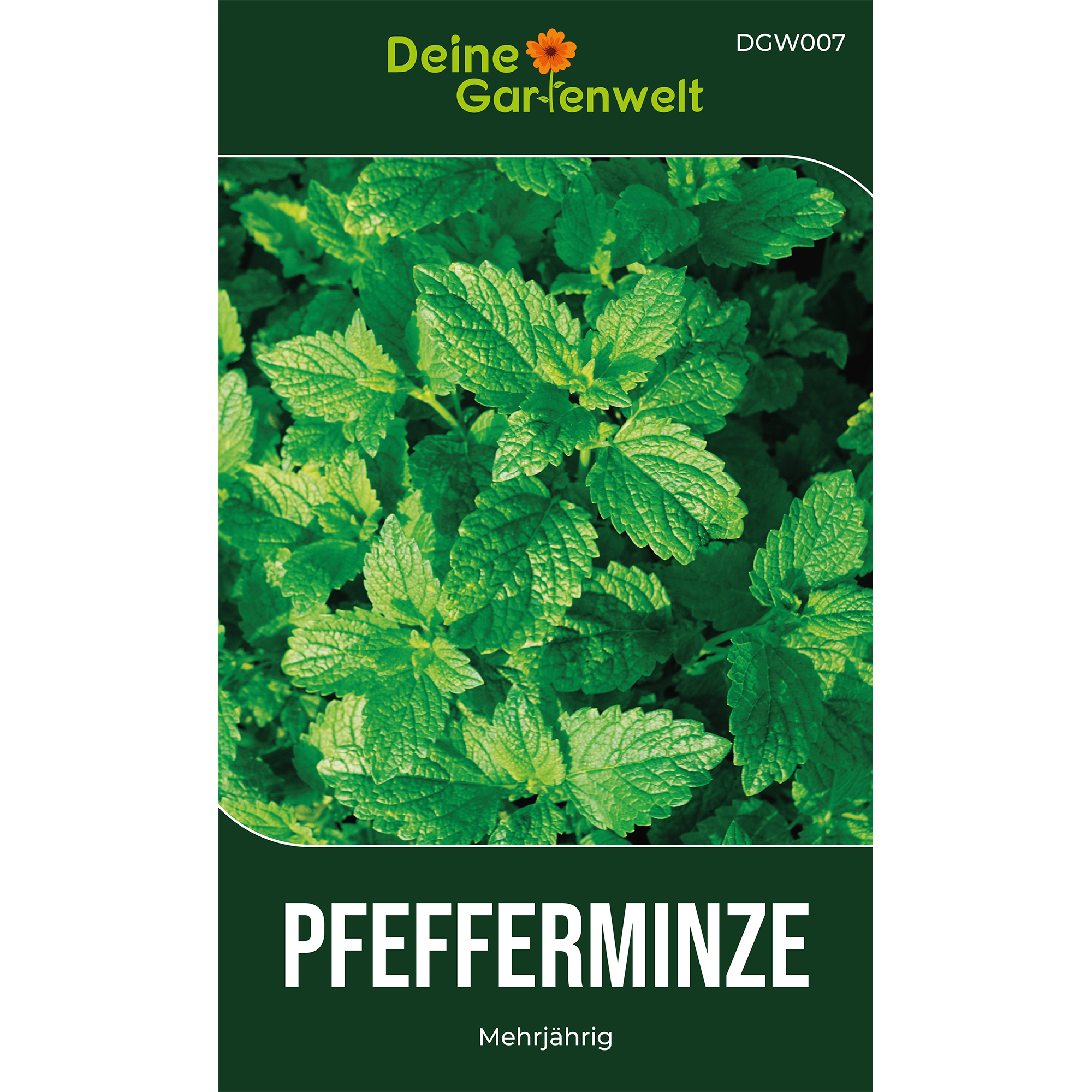 Pfefferminze