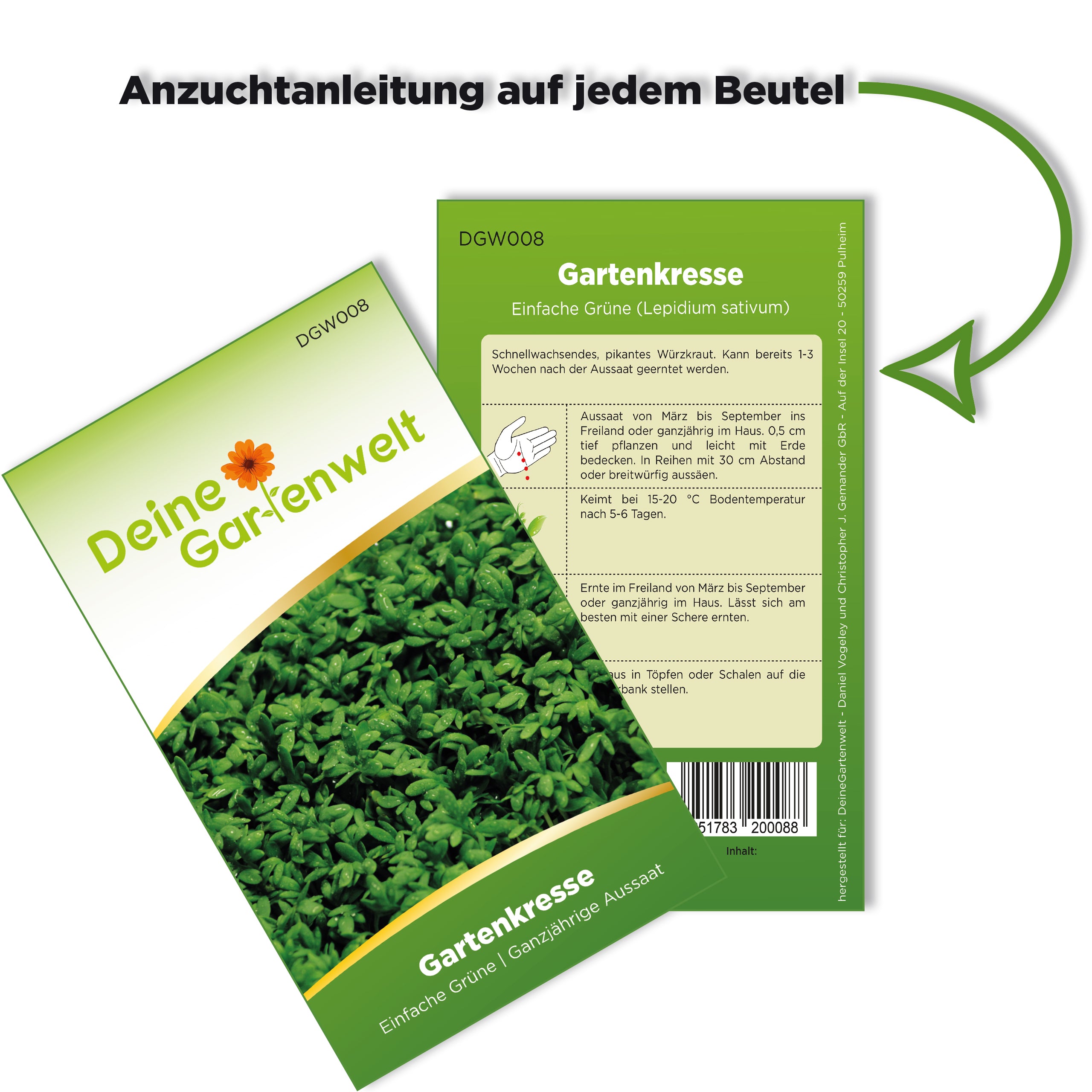 Gartenkresse Einfache Grüne