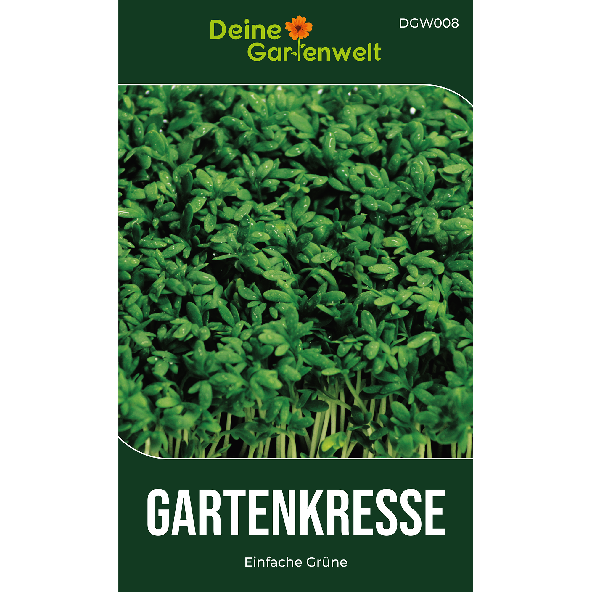 Gartenkresse Einfache Grüne