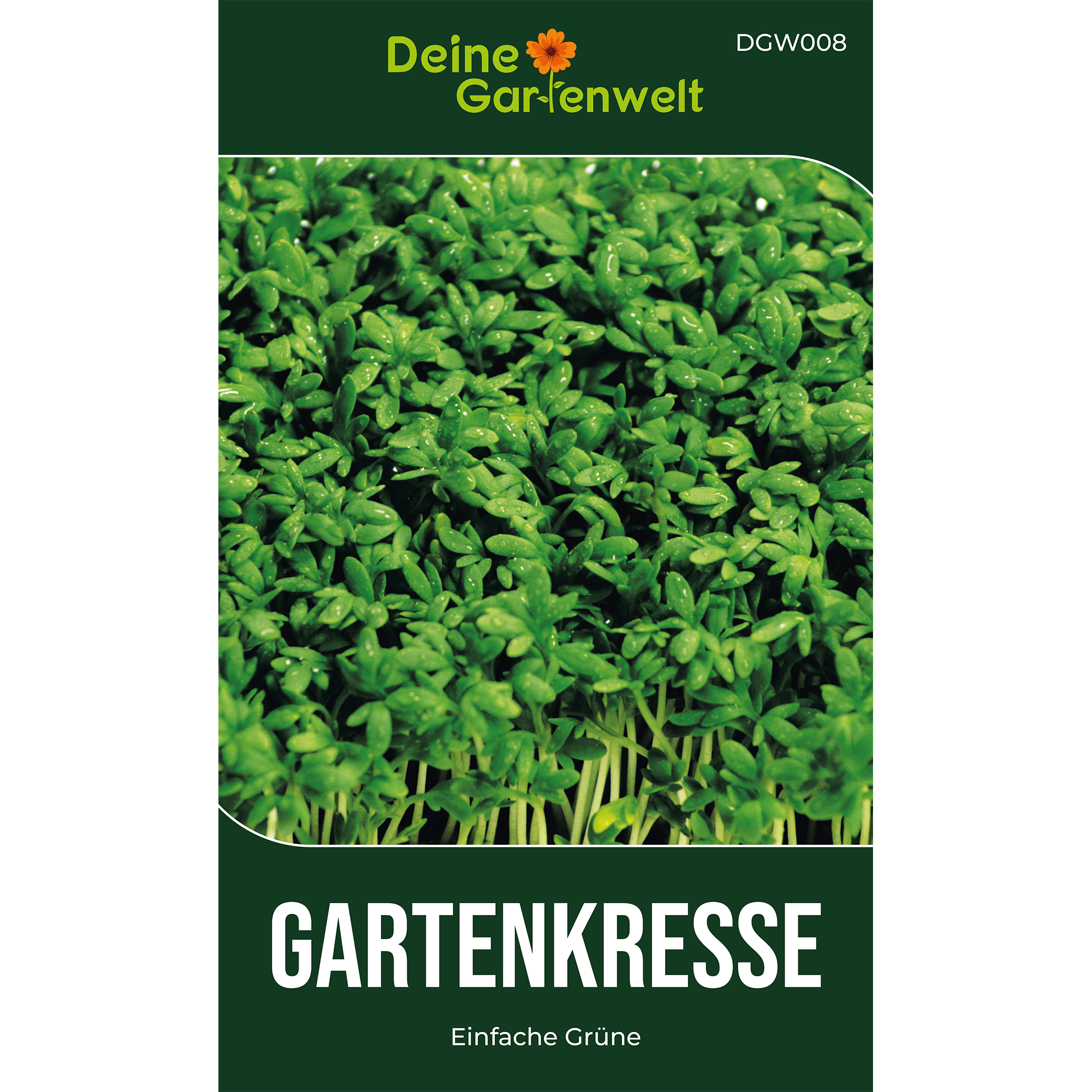 Gartenkresse Einfache Grüne