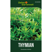 Thymian Deutscher Winter