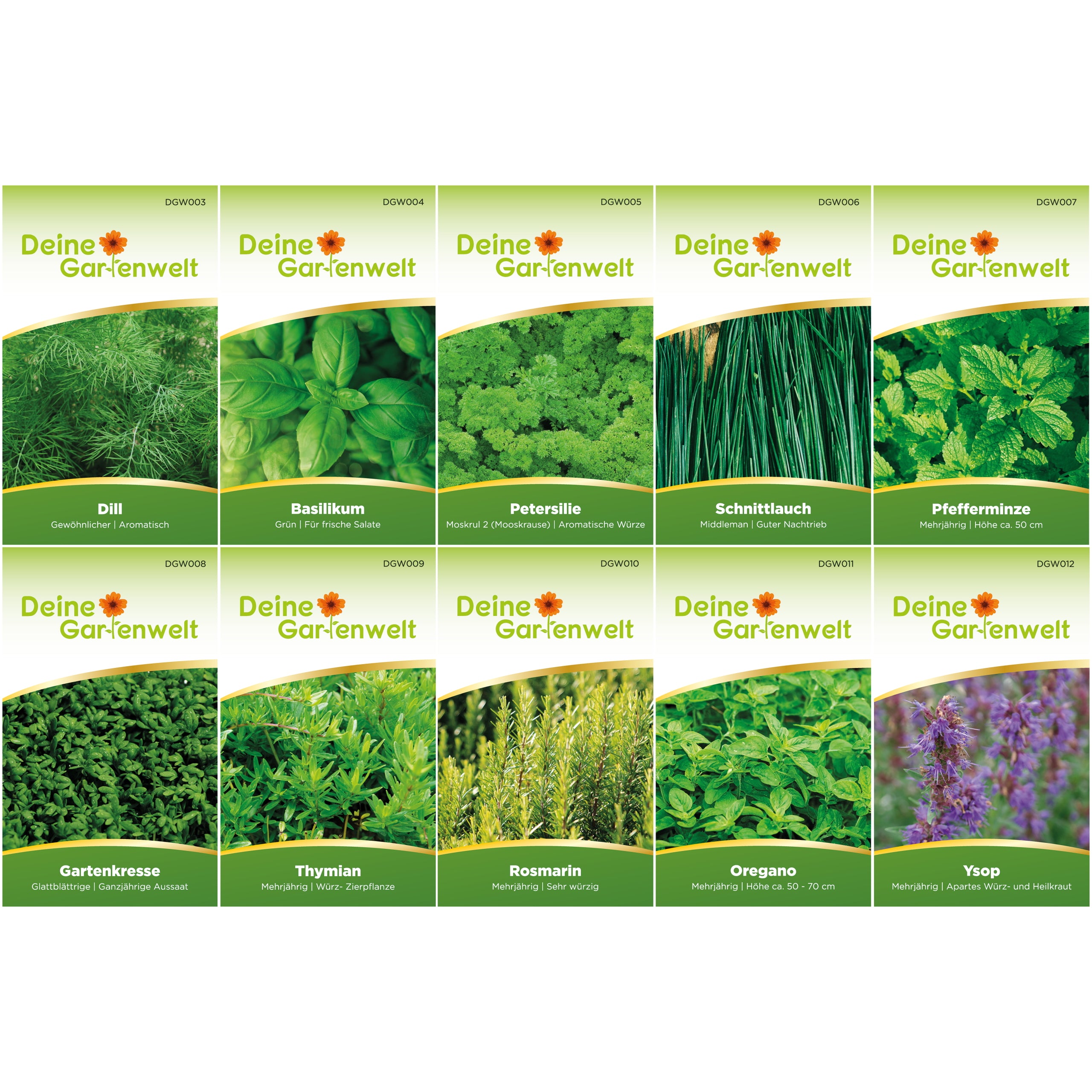 Kräutersamen-Set mit 10 Sorten – Kräutersamen online kaufen