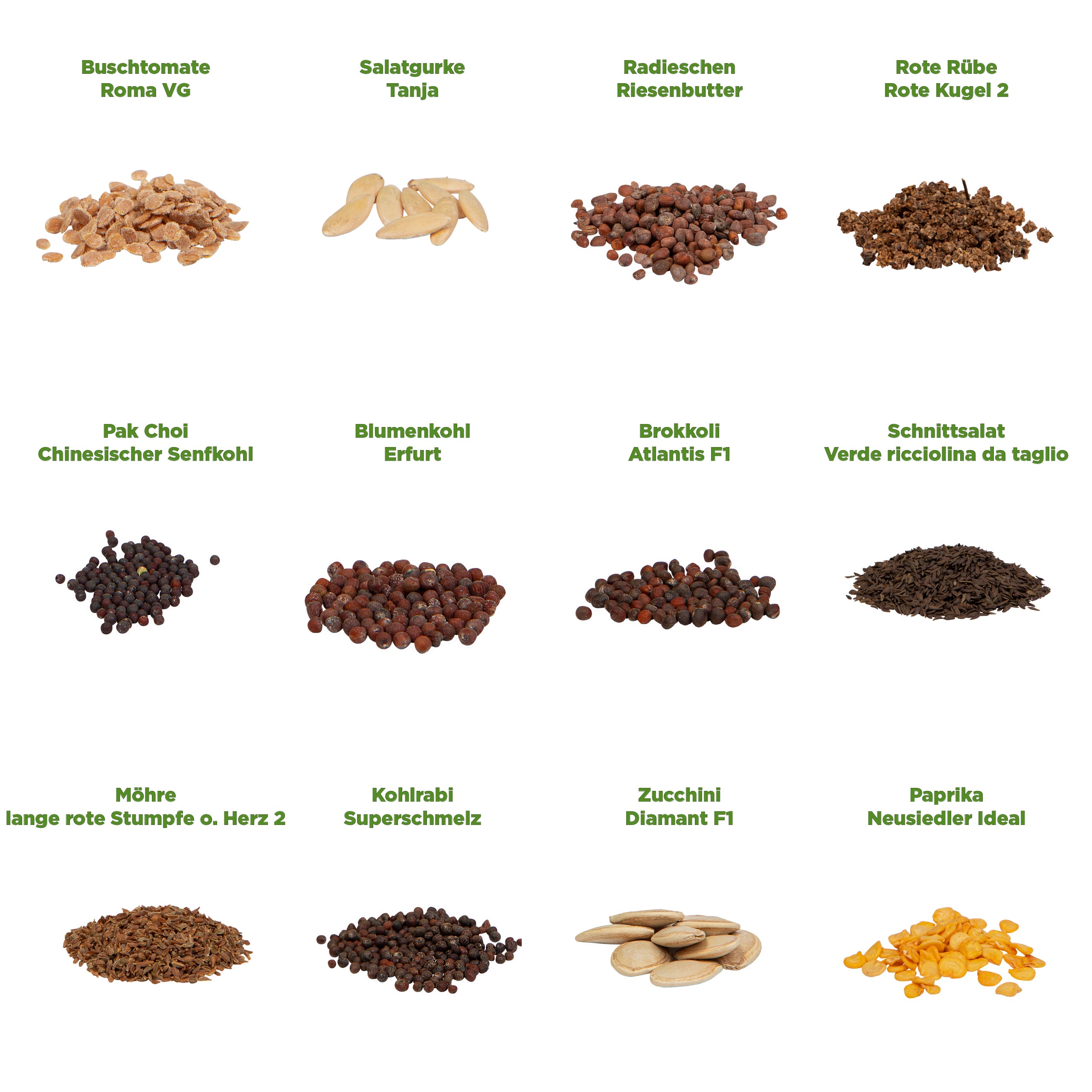 Gemüsesamen-Set mit 12 Sorten