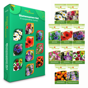 Blumensamen-Set mit 10 Sorten