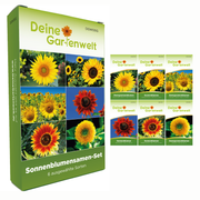Sonnenblumensamen-Set mit 6 Sorten