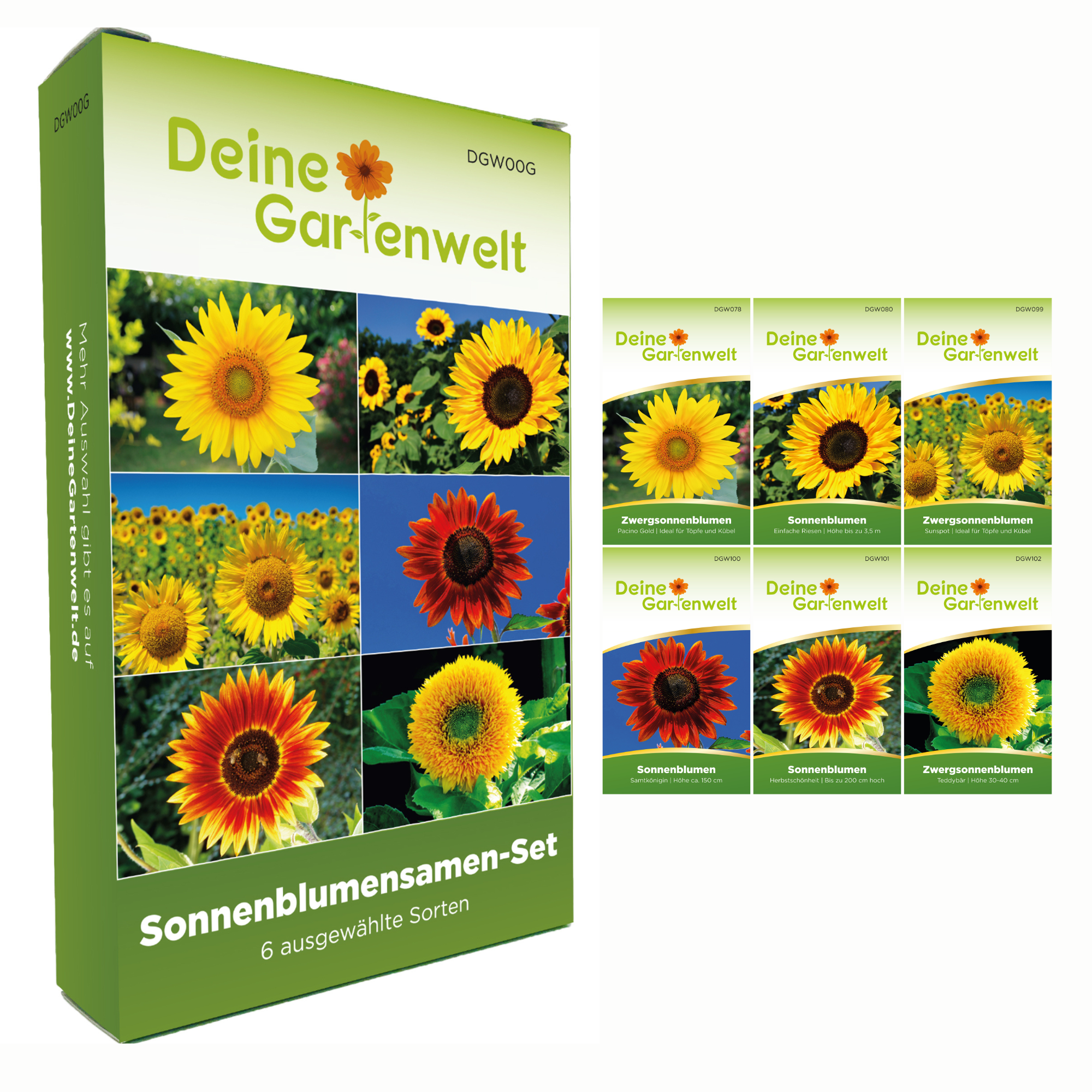 Sonnenblumensamen-Set mit 6 Sorten