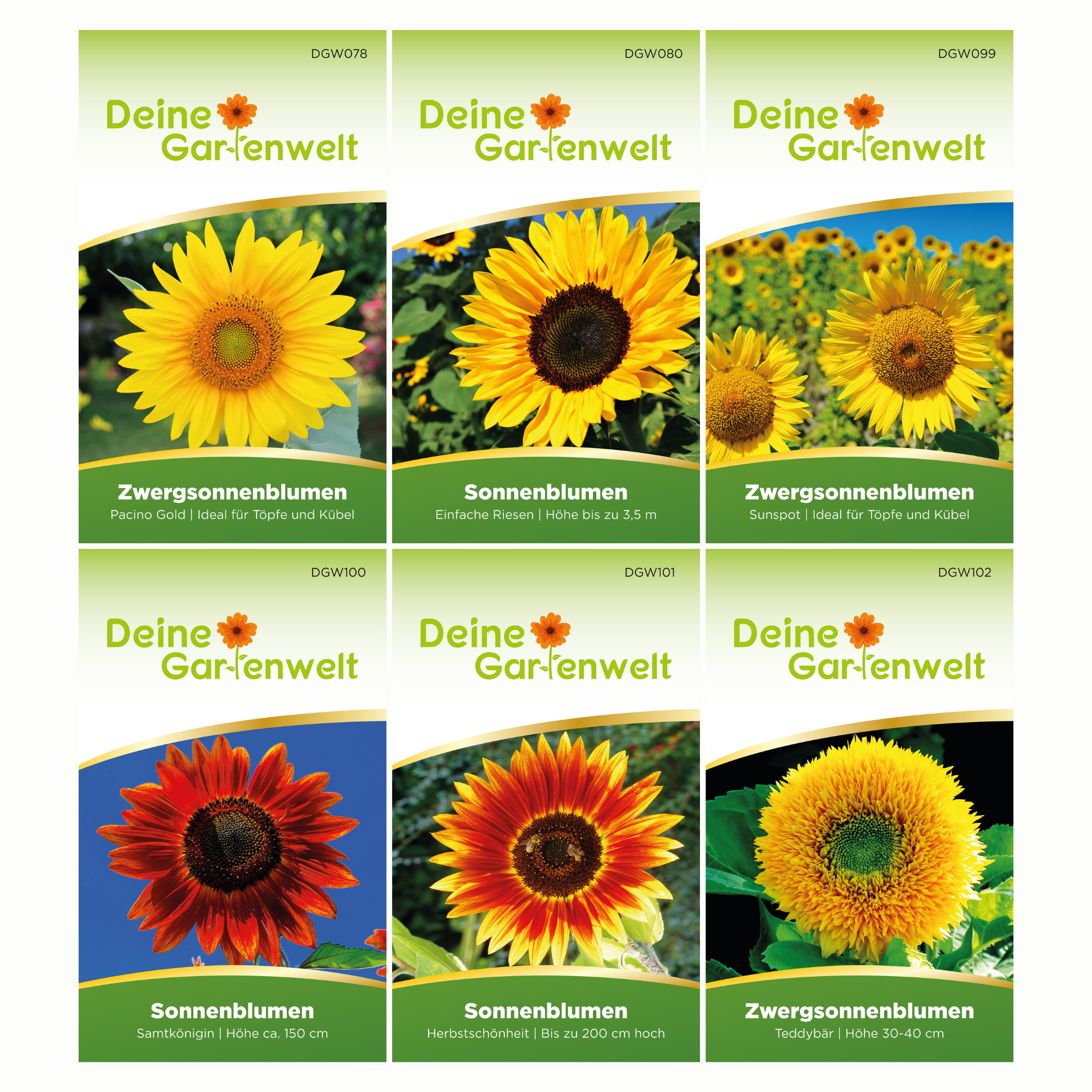 Sonnenblumensamen-Set mit 6 Sorten